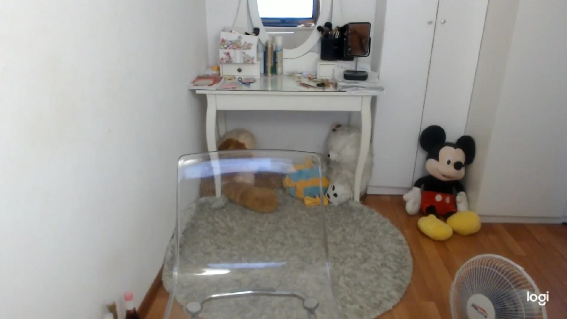Gallery image thumbnail from SummerJewel's myfreecams stream on, 08/14/2025, 06:05 image 17 of 20