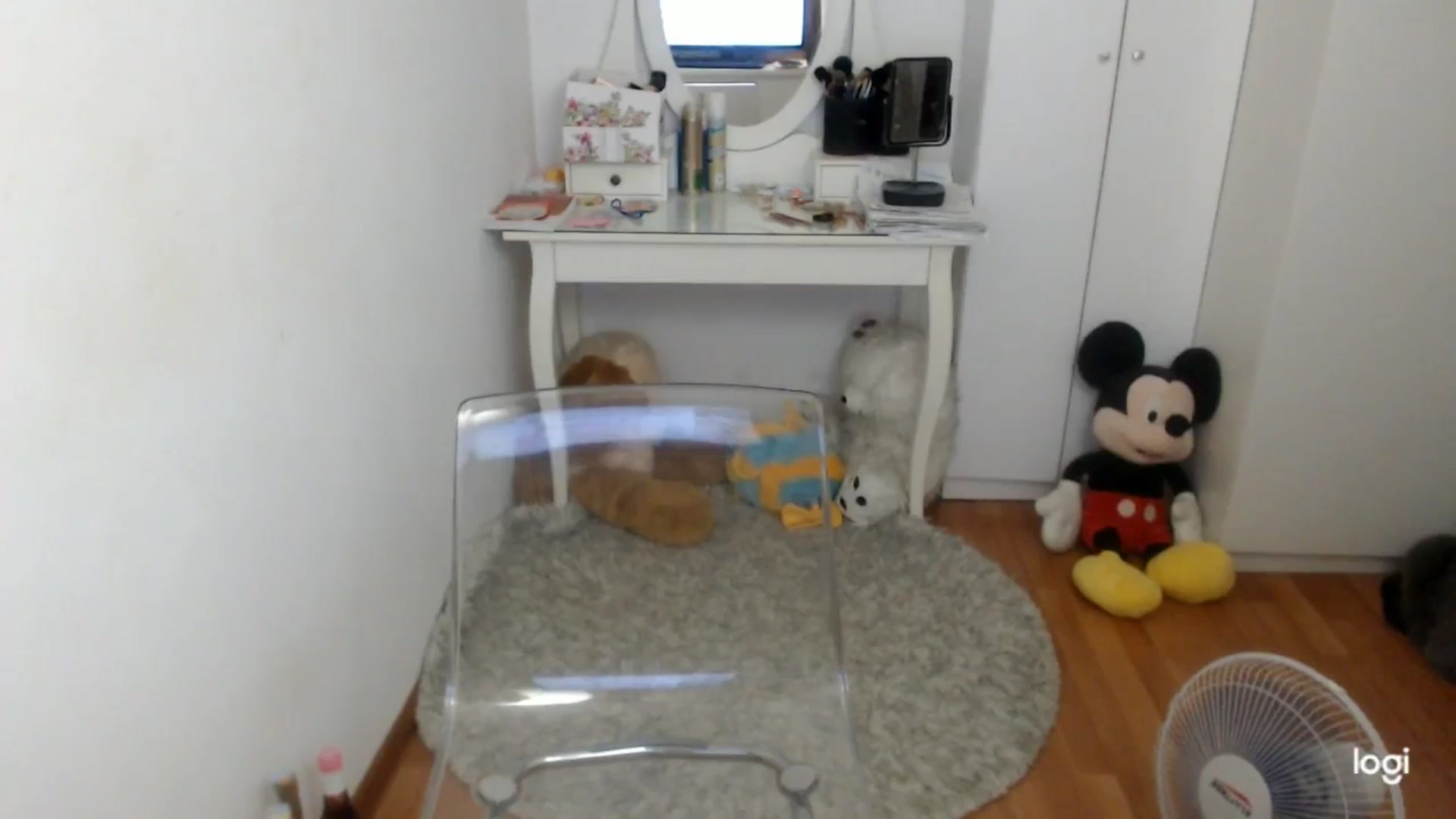 Gallery image thumbnail from SummerJewel's myfreecams stream on, 08/14/2025, 06:05 image 18 of 20