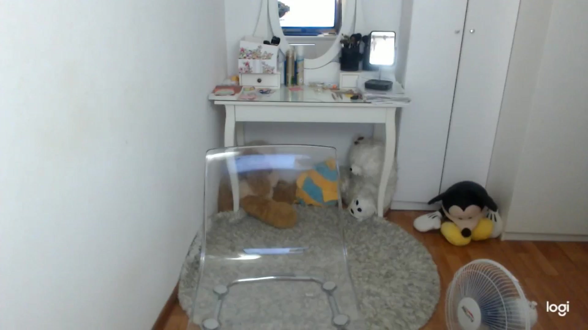 Gallery image thumbnail from SummerJewel's myfreecams stream on, 08/17/2025, 09:54 image 8 of 20