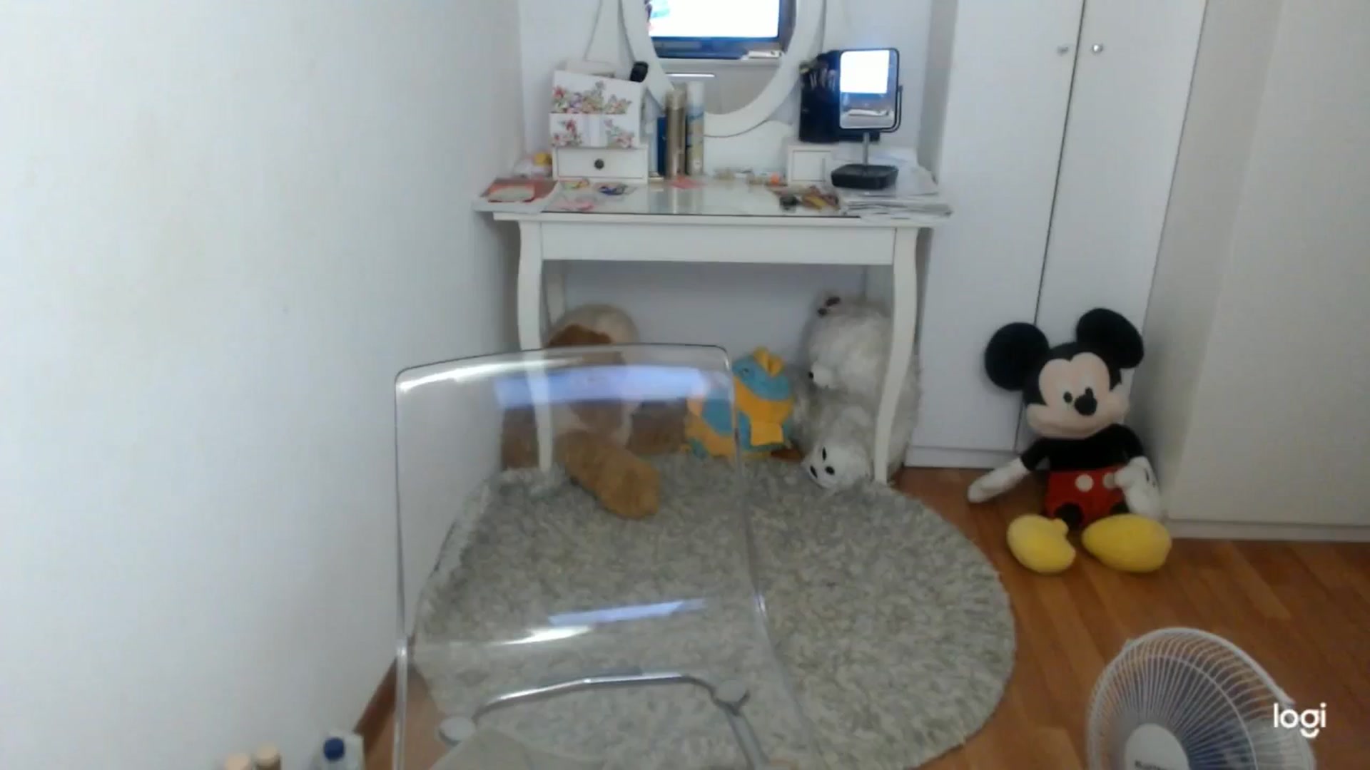 Gallery image thumbnail from SummerJewel's myfreecams stream on, 08/18/2025, 07:51 image 18 of 20