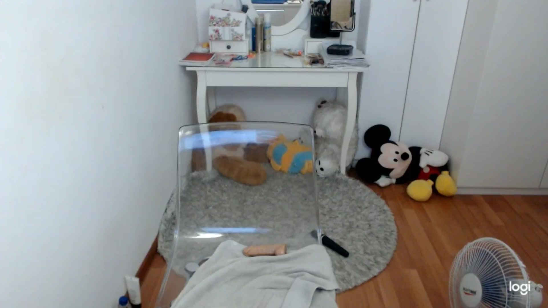 Gallery image thumbnail from SummerJewel's myfreecams stream on, 08/20/2025, 08:42 image 18 of 20