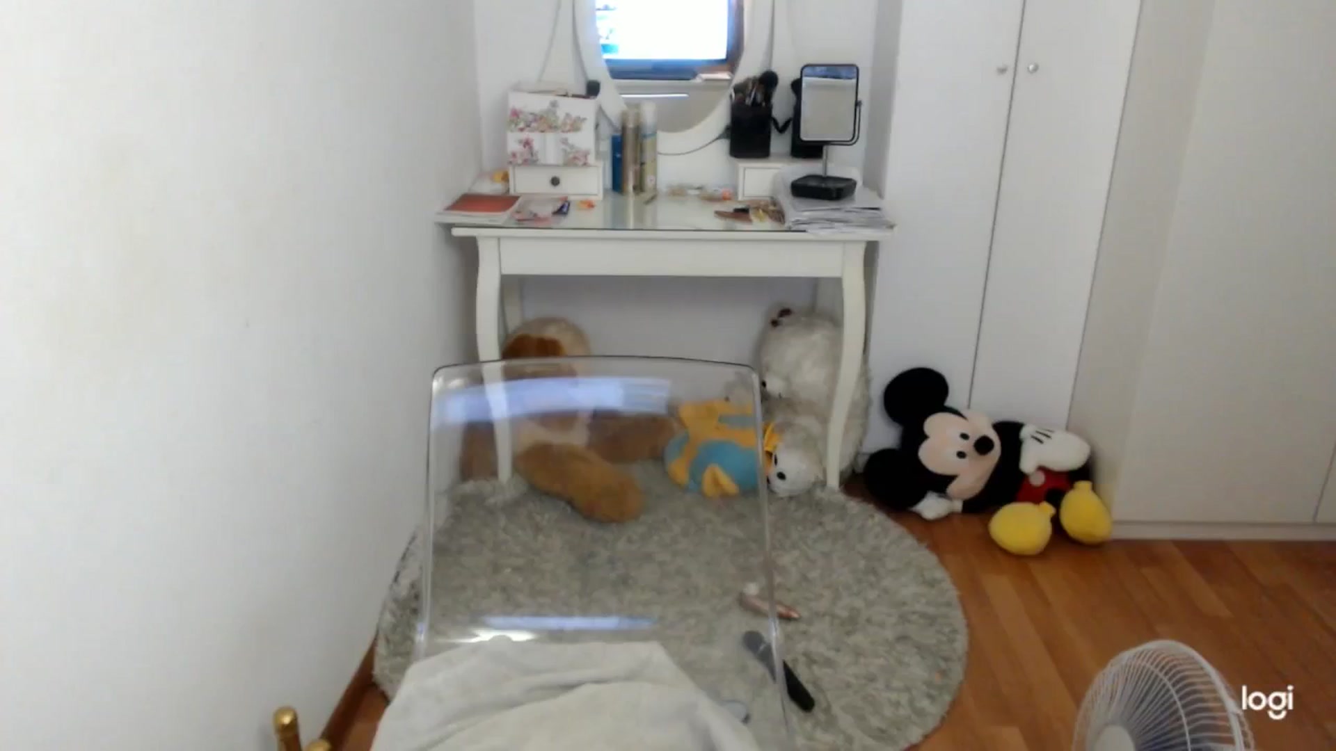 Gallery image thumbnail from SummerJewel's myfreecams stream on, 08/21/2025, 08:42 image 15 of 20