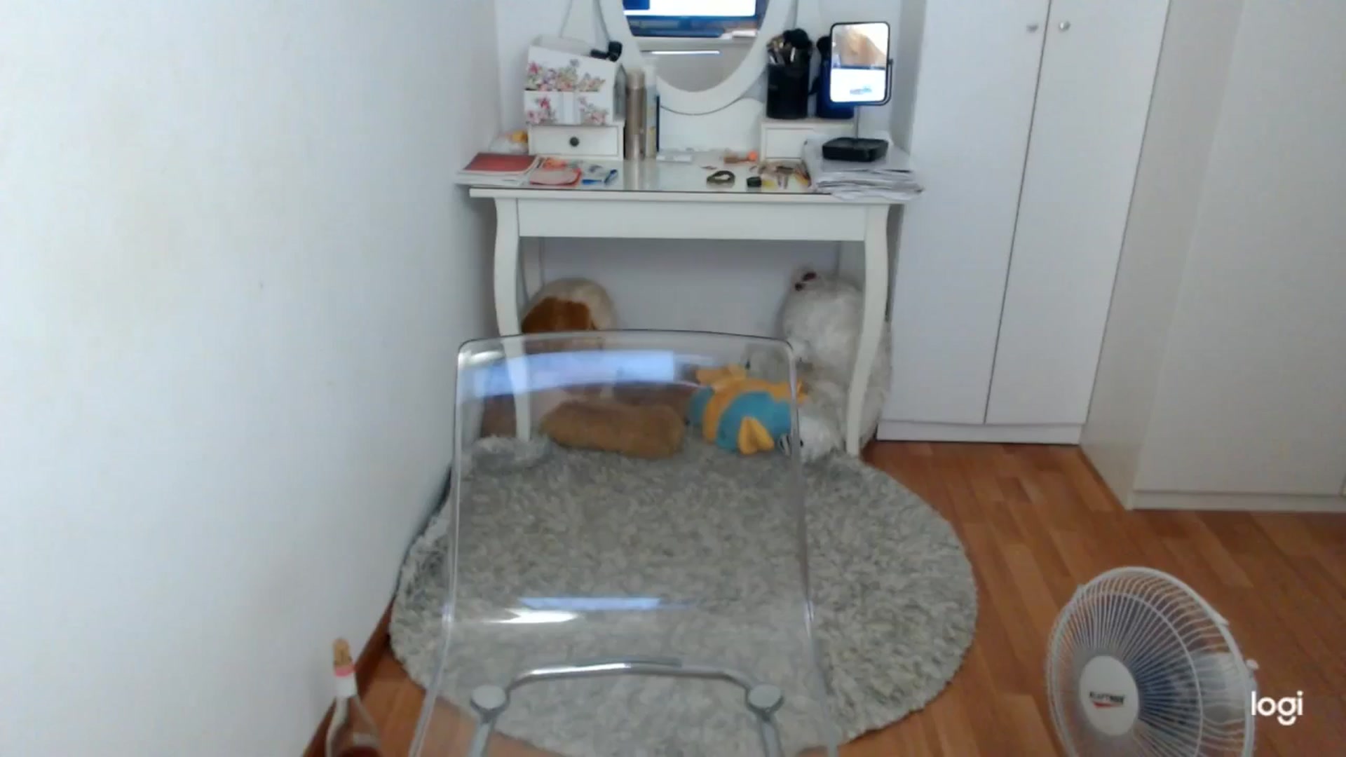 Gallery image thumbnail from SummerJewel's myfreecams stream on, 08/24/2025, 08:48 image 4 of 20