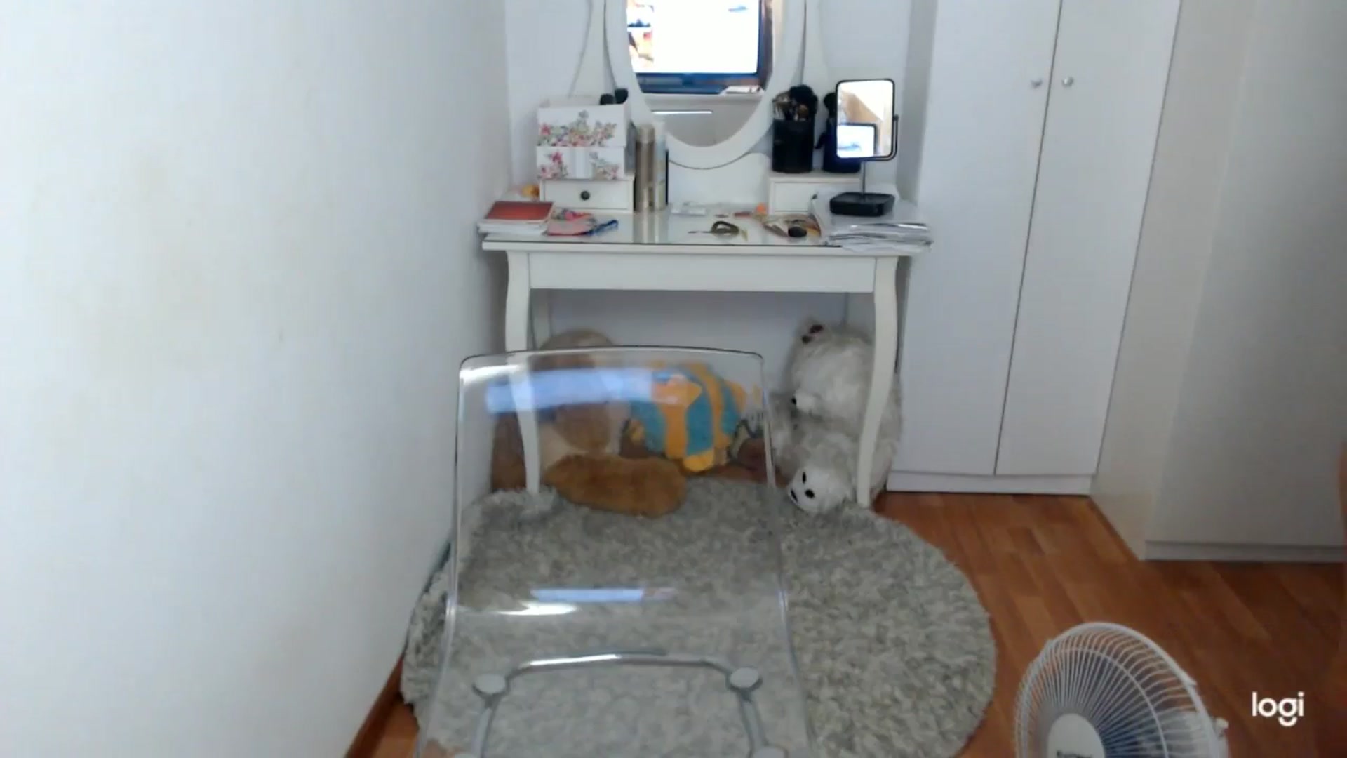 Gallery image thumbnail from SummerJewel's myfreecams stream on, 08/26/2025, 08:36 image 8 of 20