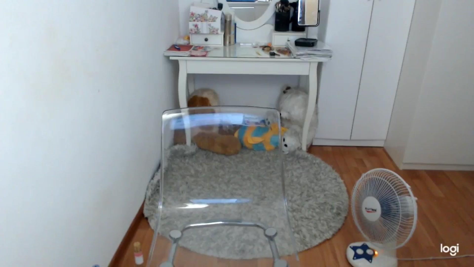 Gallery image thumbnail from SummerJewel's myfreecams stream on, 08/27/2025, 09:08 image 8 of 20