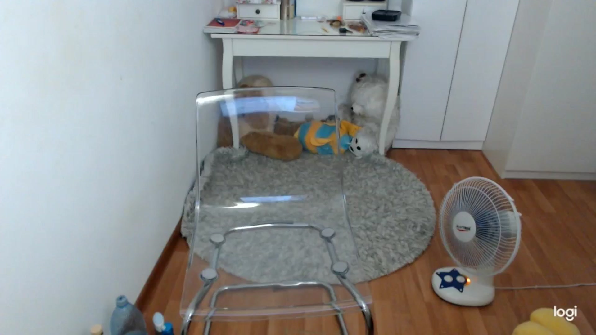 Gallery image thumbnail from SummerJewel's myfreecams stream on, 08/27/2025, 09:08 image 2 of 20