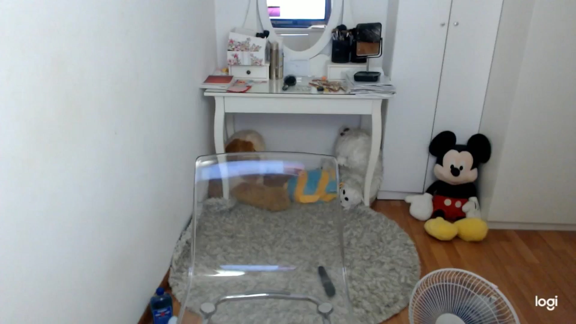 Gallery image thumbnail from SummerJewel's myfreecams stream on, 08/31/2025, 09:19 image 14 of 20