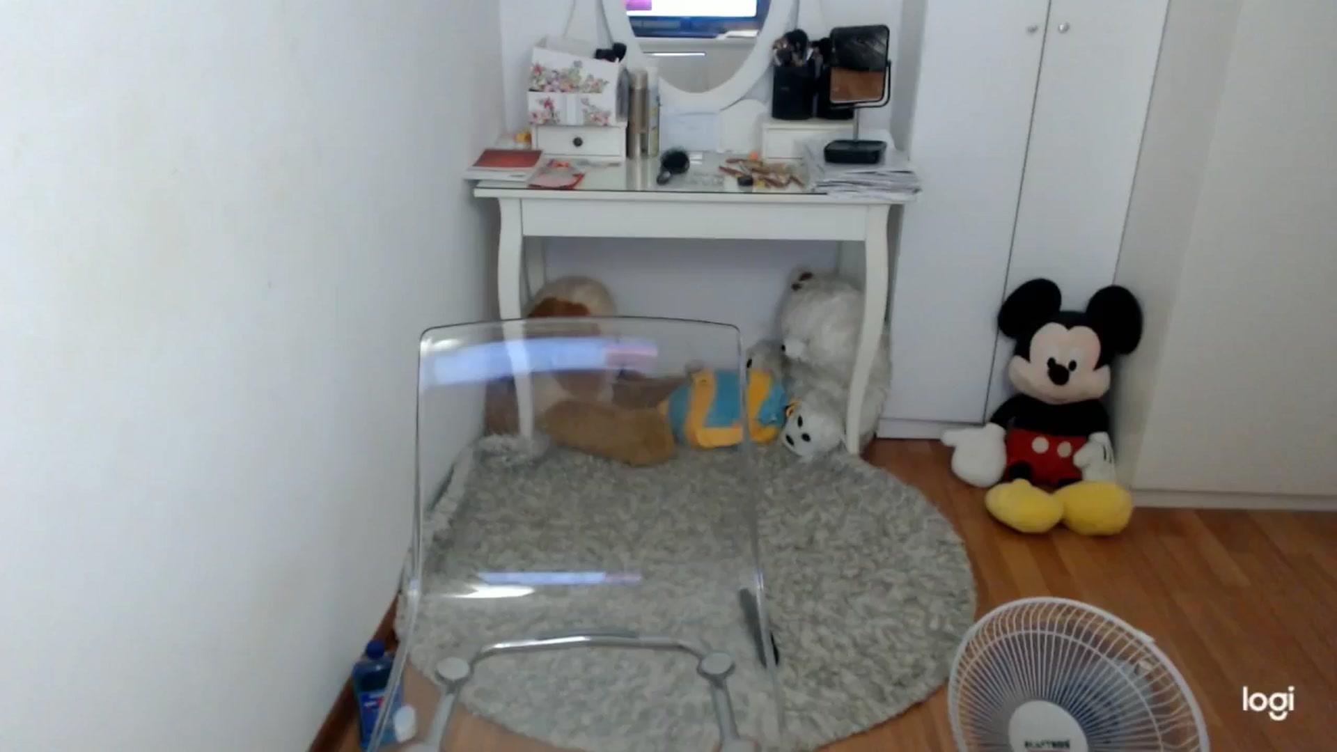 Gallery image thumbnail from SummerJewel's myfreecams stream on, 08/31/2025, 09:19 image 20 of 20