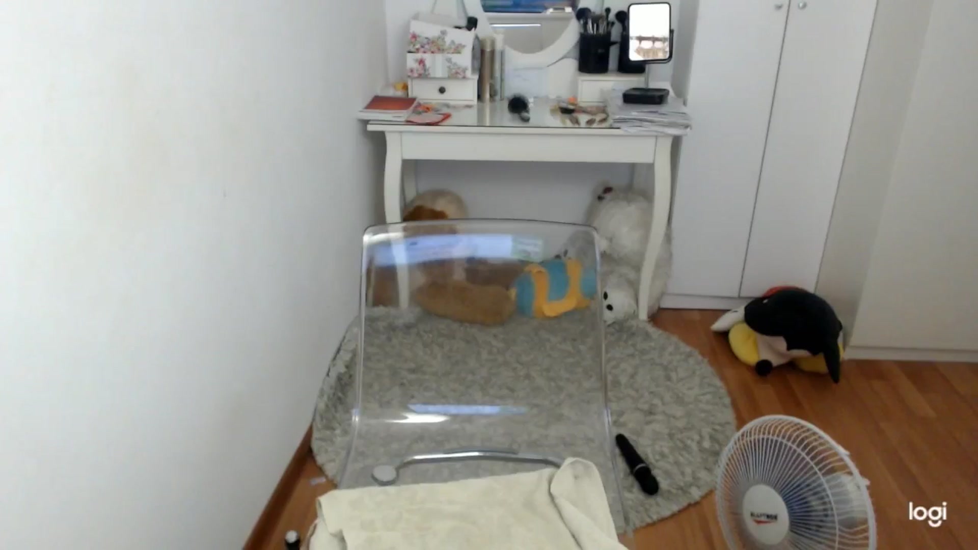 Gallery image thumbnail from SummerJewel's myfreecams stream on, 09/02/2025, 09:02 image 14 of 20