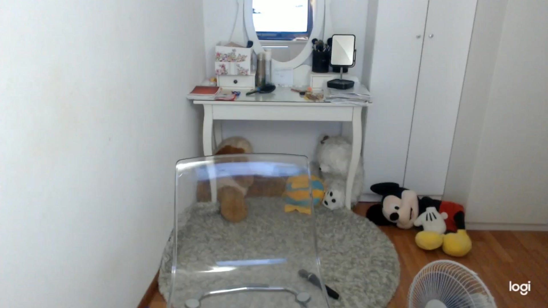 Gallery image thumbnail from SummerJewel's myfreecams stream on, 09/09/2025, 08:06 image 11 of 20