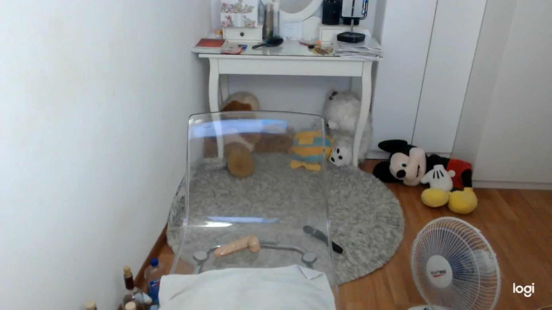 Gallery image thumbnail from SummerJewel's myfreecams stream on, 09/09/2025, 08:06 image 18 of 20