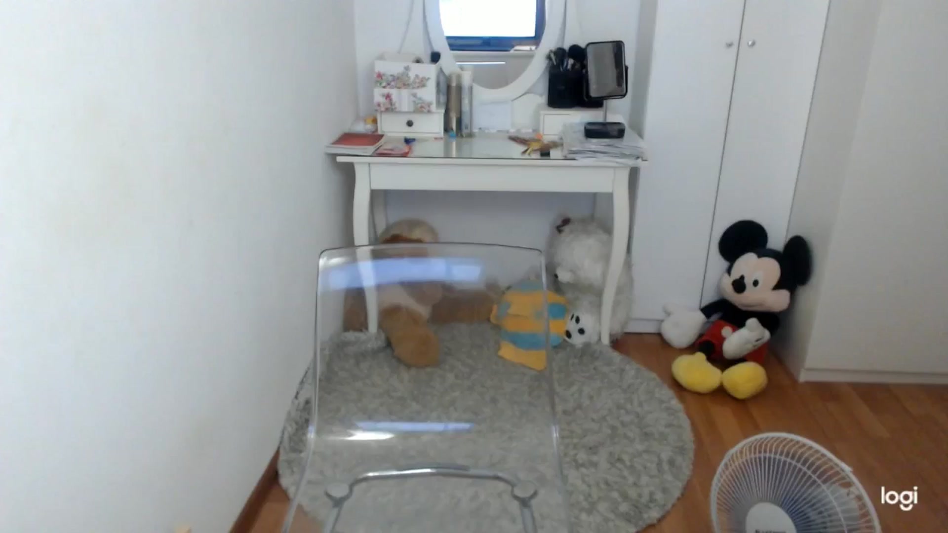Gallery image thumbnail from SummerJewel's myfreecams stream on, 09/11/2025, 09:10 image 14 of 20