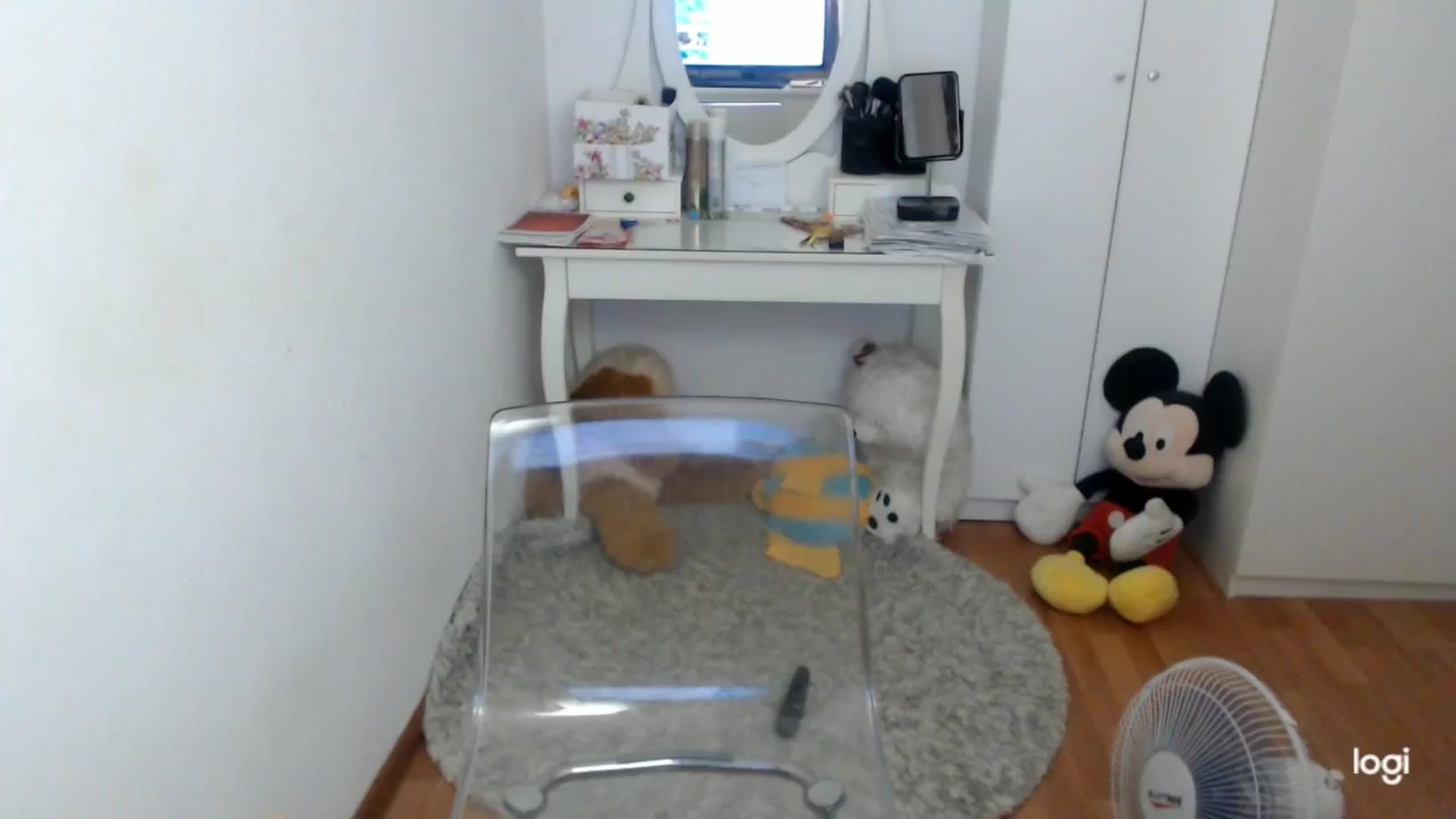 Gallery image thumbnail from SummerJewel's myfreecams stream on, 09/11/2025, 09:10 image 19 of 20