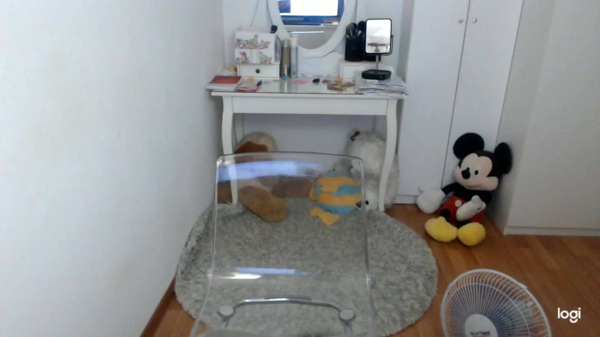 Gallery image thumbnail from SummerJewel's myfreecams stream on, 09/12/2025, 07:03 image 20 of 20