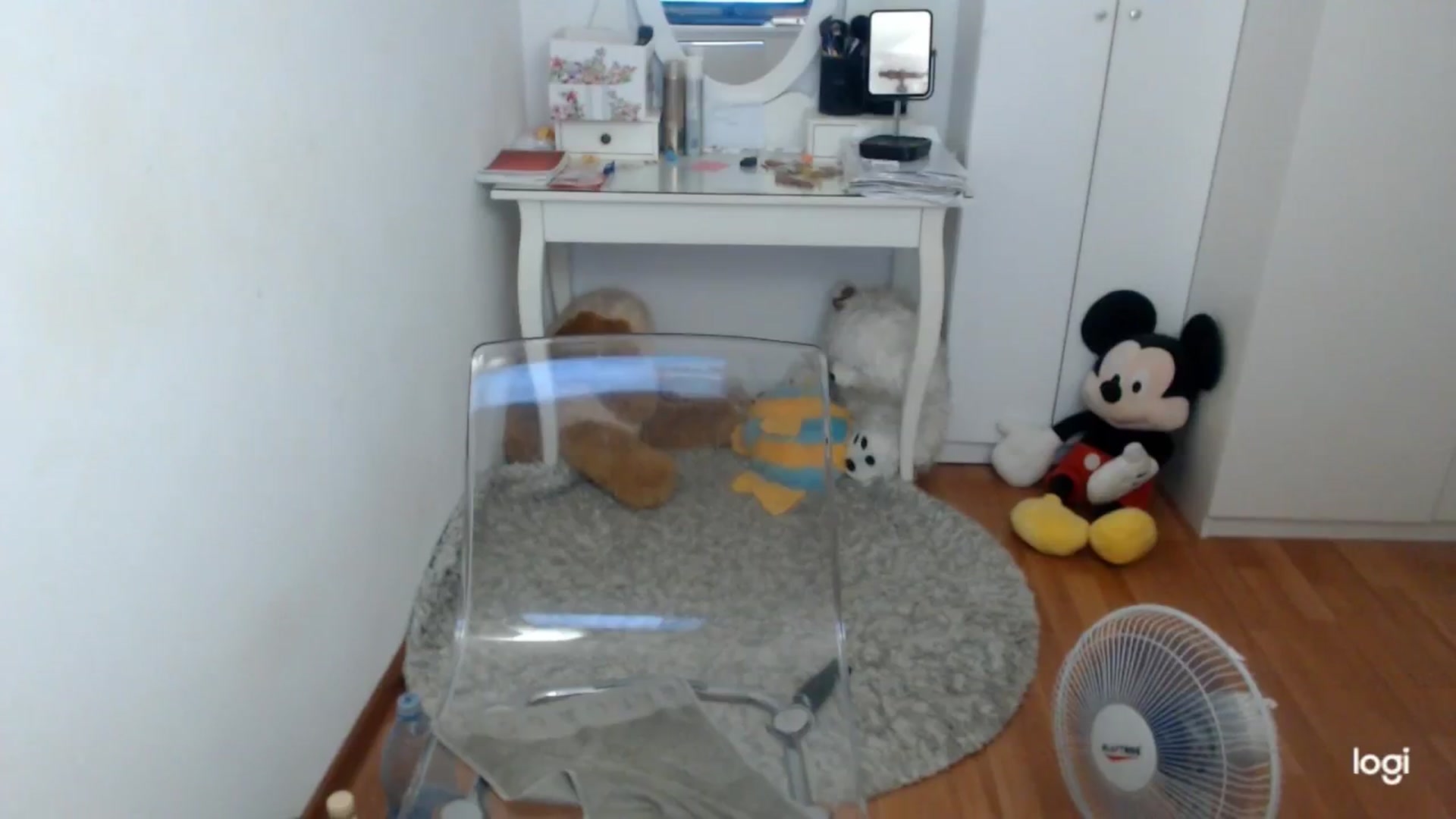 Gallery image thumbnail from SummerJewel's myfreecams stream on, 09/12/2025, 08:33 image 16 of 20