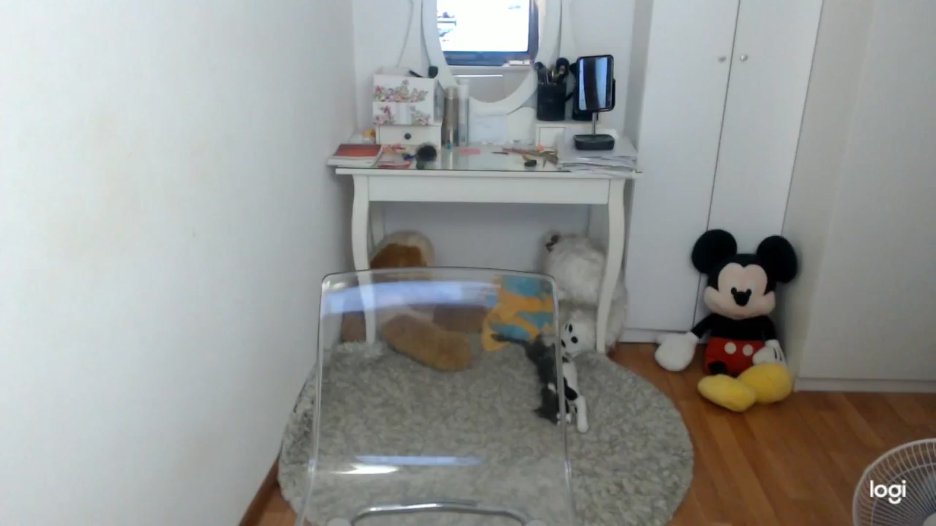 Gallery image thumbnail from SummerJewel's myfreecams stream on, 09/16/2025, 08:27 image 12 of 20