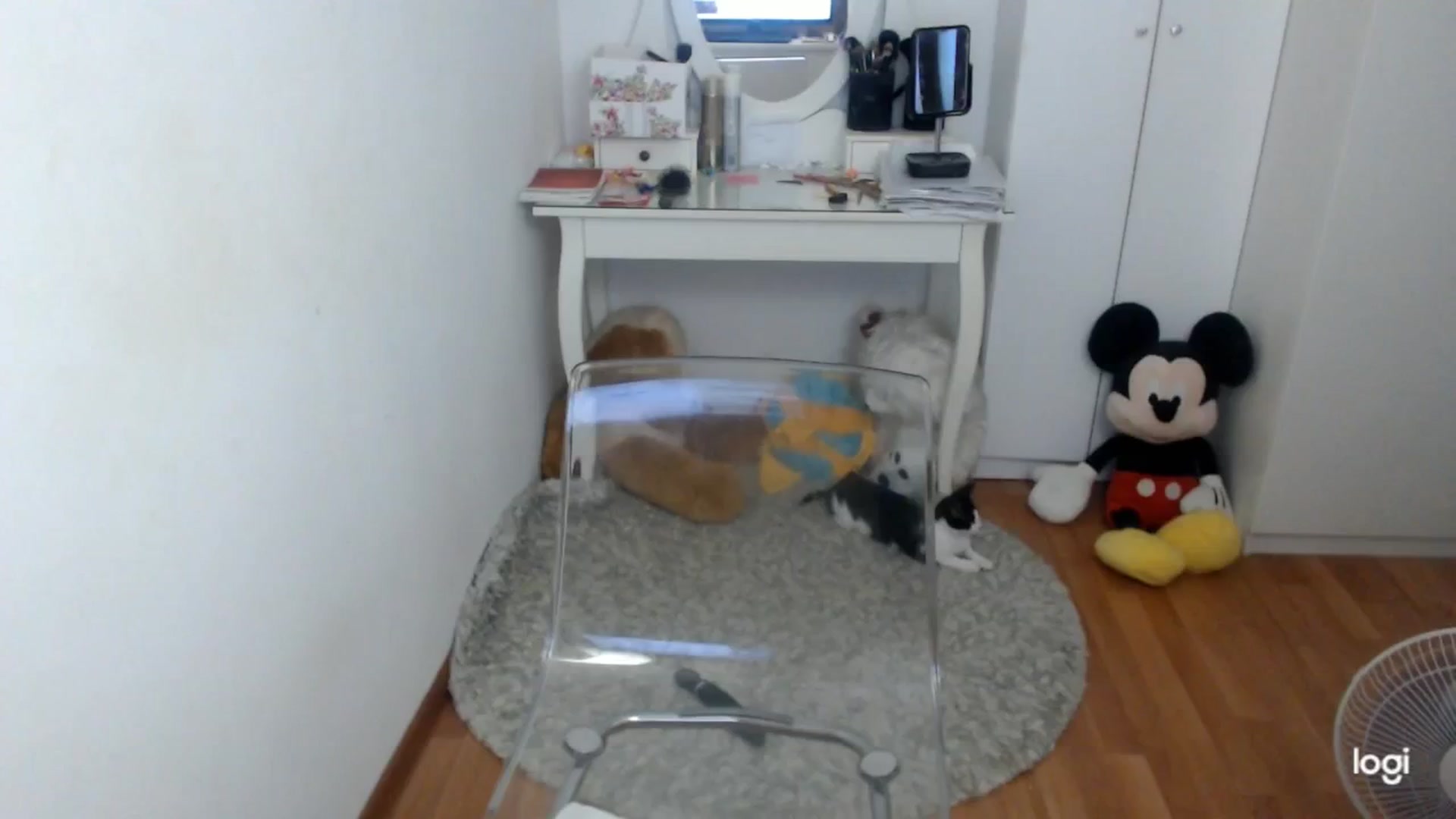 Gallery image thumbnail from SummerJewel's myfreecams stream on, 09/16/2025, 08:27 image 17 of 20