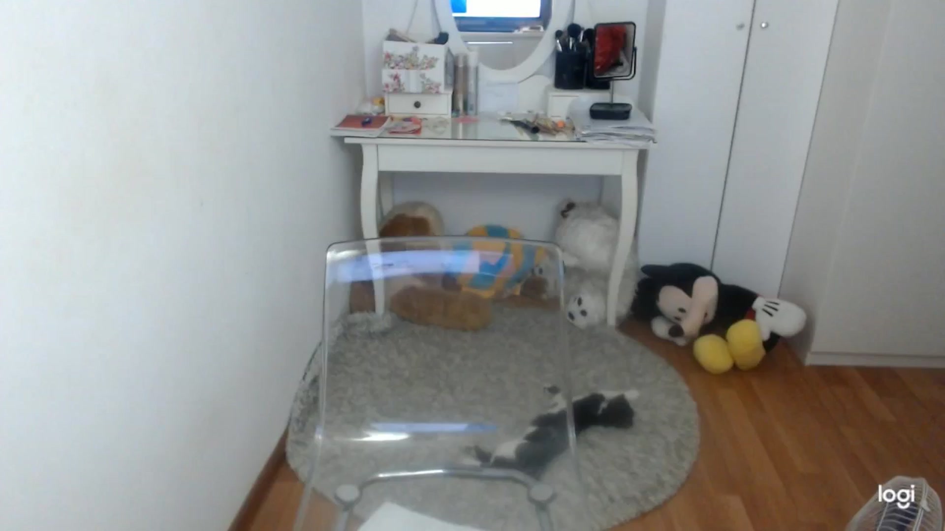 Gallery image thumbnail from SummerJewel's myfreecams stream on, 09/23/2025, 07:14 image 4 of 20