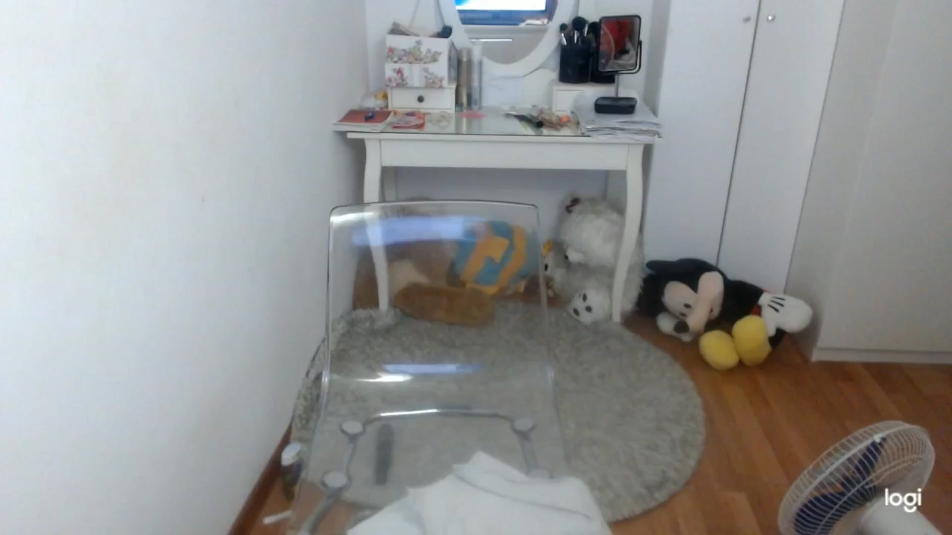 Gallery image thumbnail from SummerJewel's myfreecams stream on, 09/23/2025, 08:33 image 3 of 20