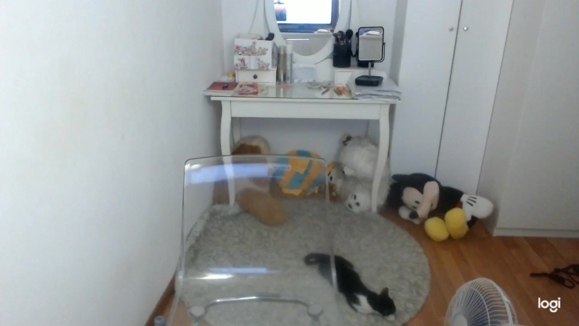 Gallery image thumbnail from SummerJewel's myfreecams stream on, 09/24/2025, 08:14 image 12 of 20