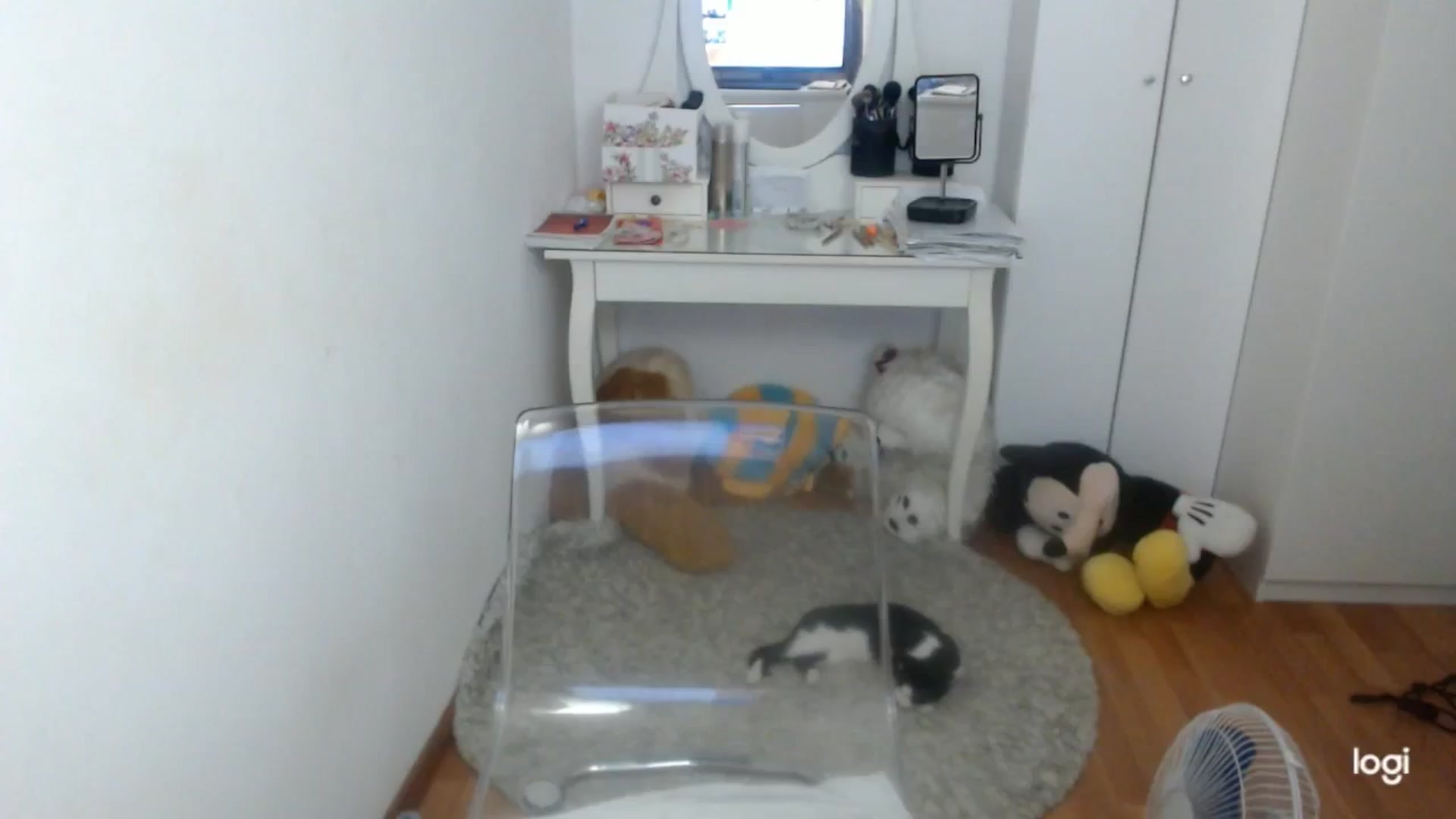 Gallery image thumbnail from SummerJewel's myfreecams stream on, 09/24/2025, 08:14 image 17 of 20