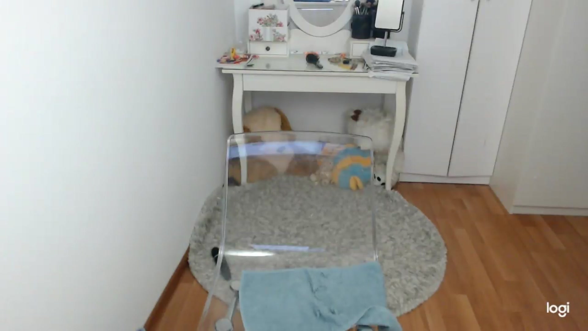 Gallery image thumbnail from SummerJewel's myfreecams stream on, 06/25/2026, 08:17 image 17 of 20