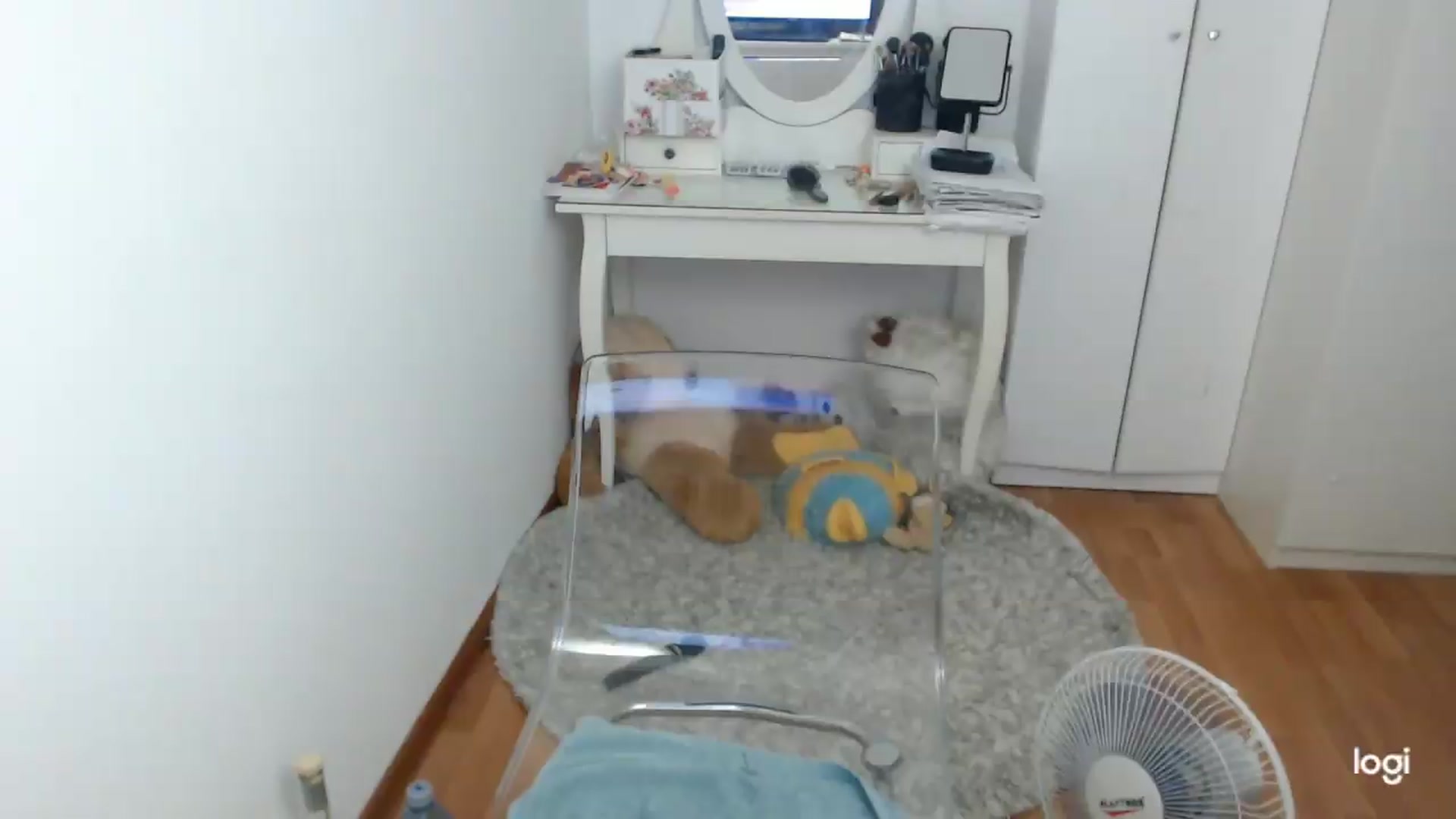 Gallery image thumbnail from SummerJewel's myfreecams stream on, 07/05/2026, 08:53 image 14 of 20