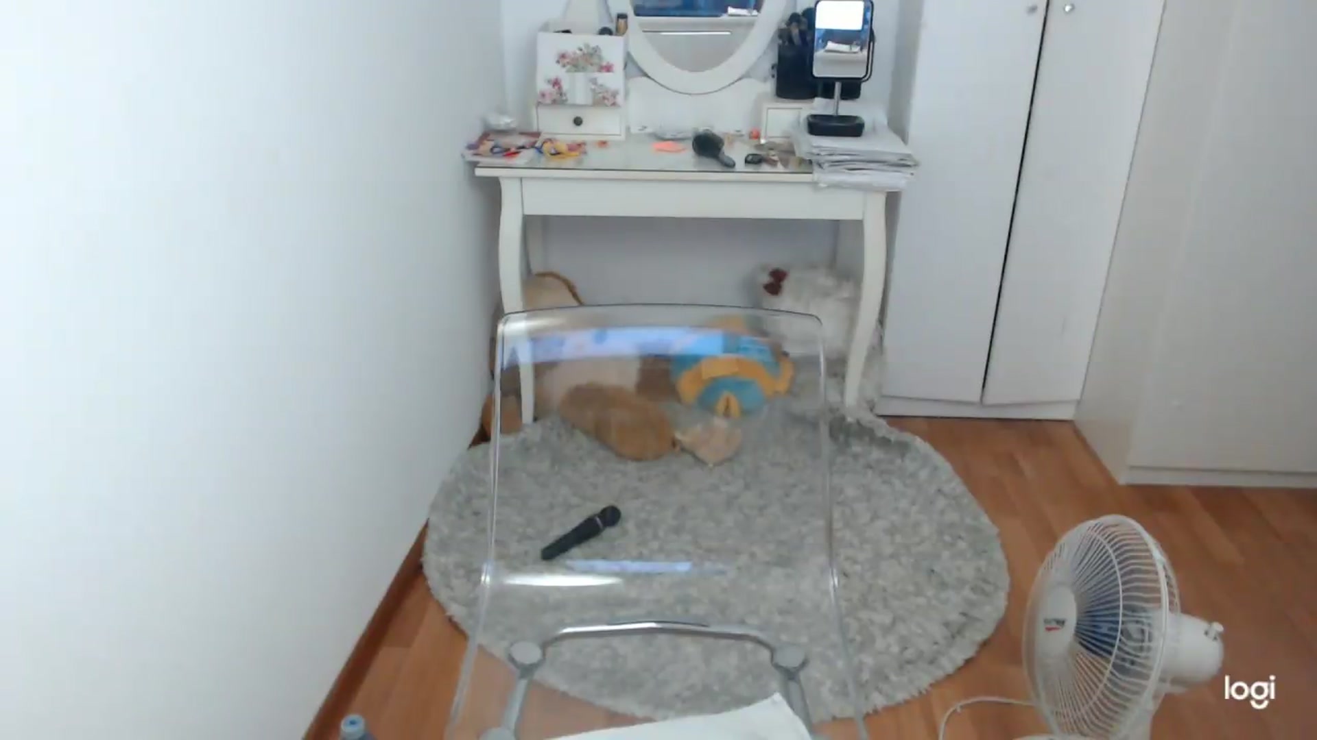 Gallery image thumbnail from SummerJewel's myfreecams stream on, 07/10/2026, 09:09 image 15 of 20