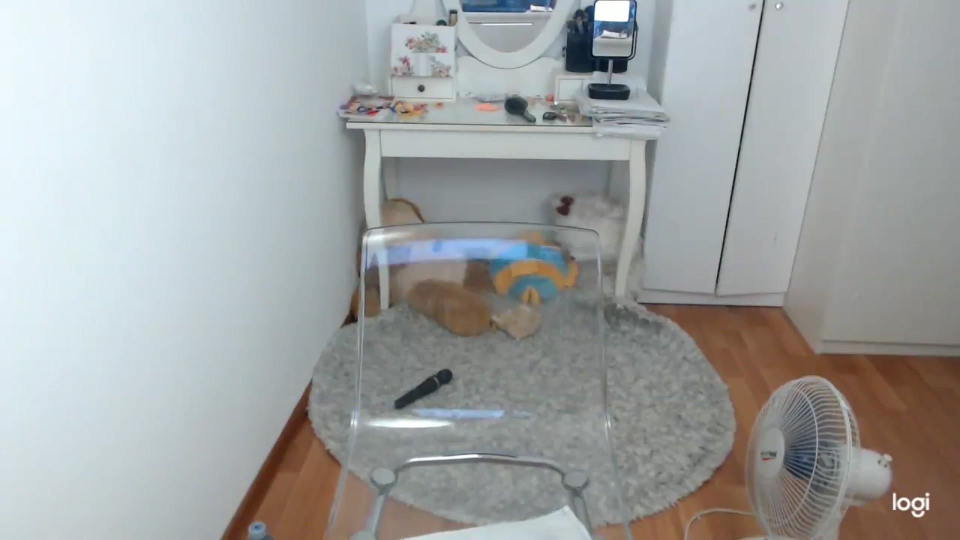 Gallery image thumbnail from SummerJewel's myfreecams stream on, 07/10/2026, 09:09 image 16 of 20