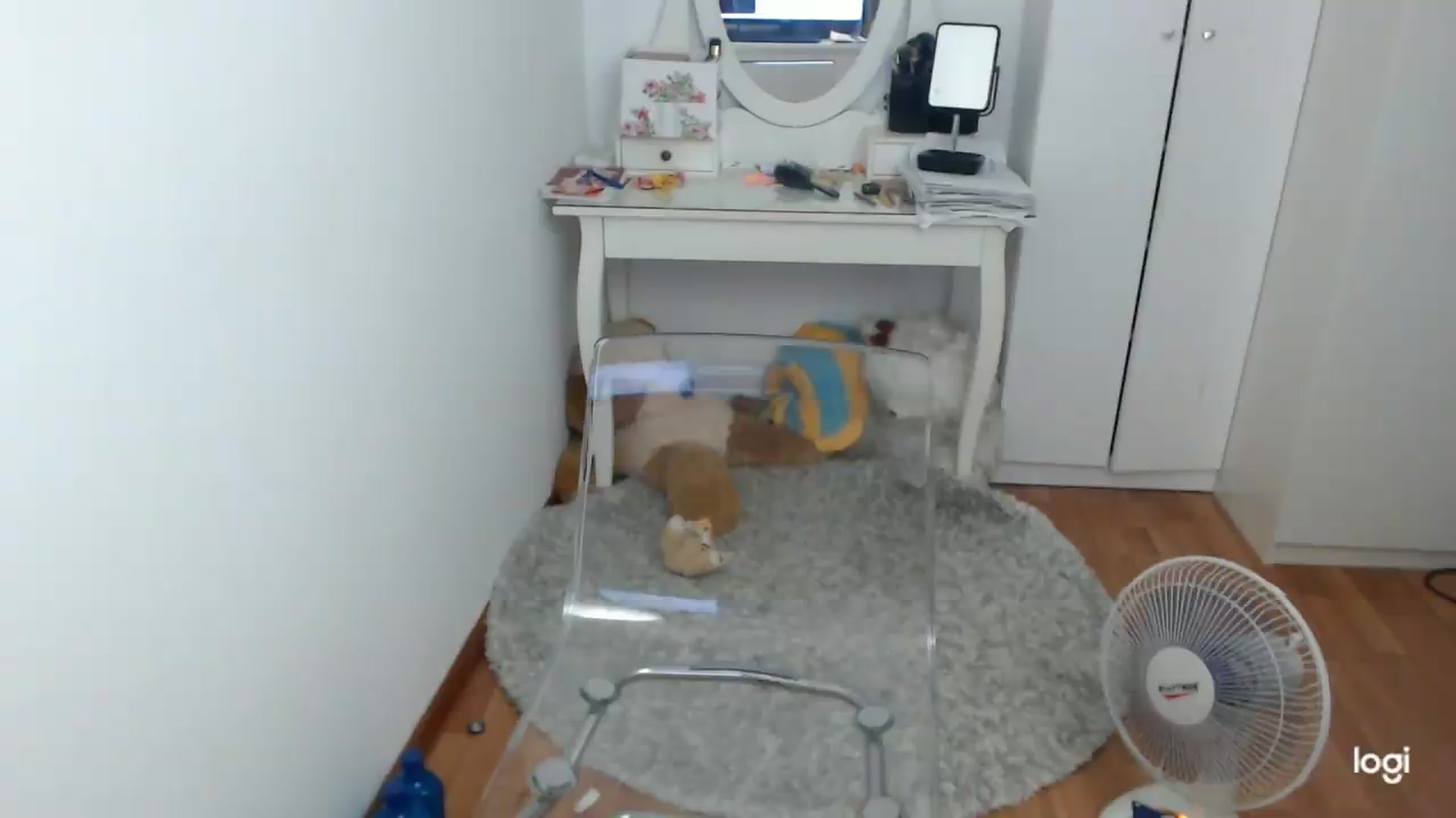 Gallery image thumbnail from SummerJewel's myfreecams stream on, 07/13/2026, 07:03 image 9 of 20