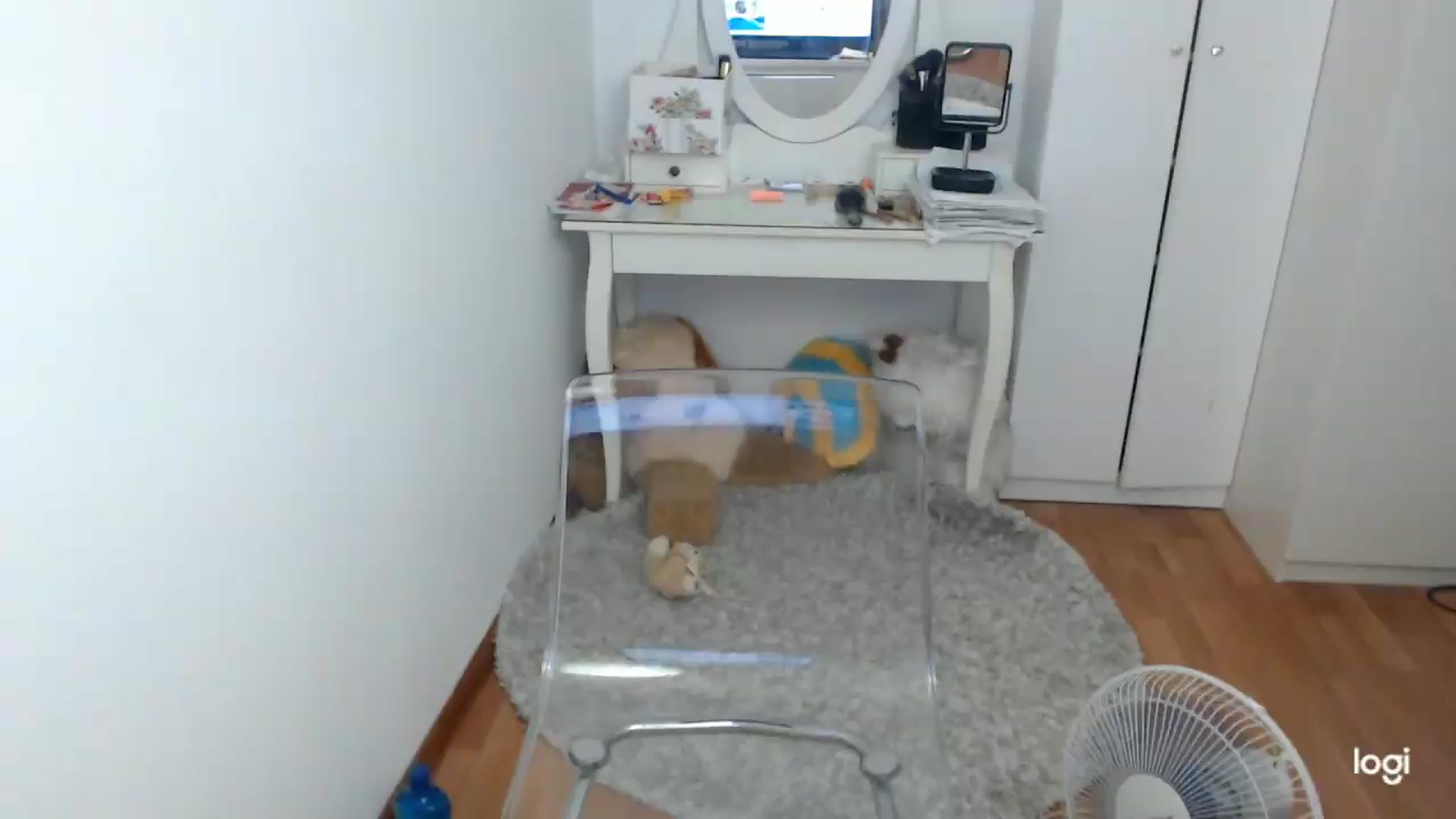 Gallery image thumbnail from SummerJewel's myfreecams stream on, 07/14/2026, 08:36 image 3 of 20