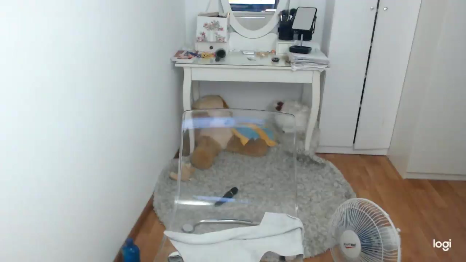 Gallery image thumbnail from SummerJewel's myfreecams stream on, 07/18/2026, 09:13 image 17 of 20