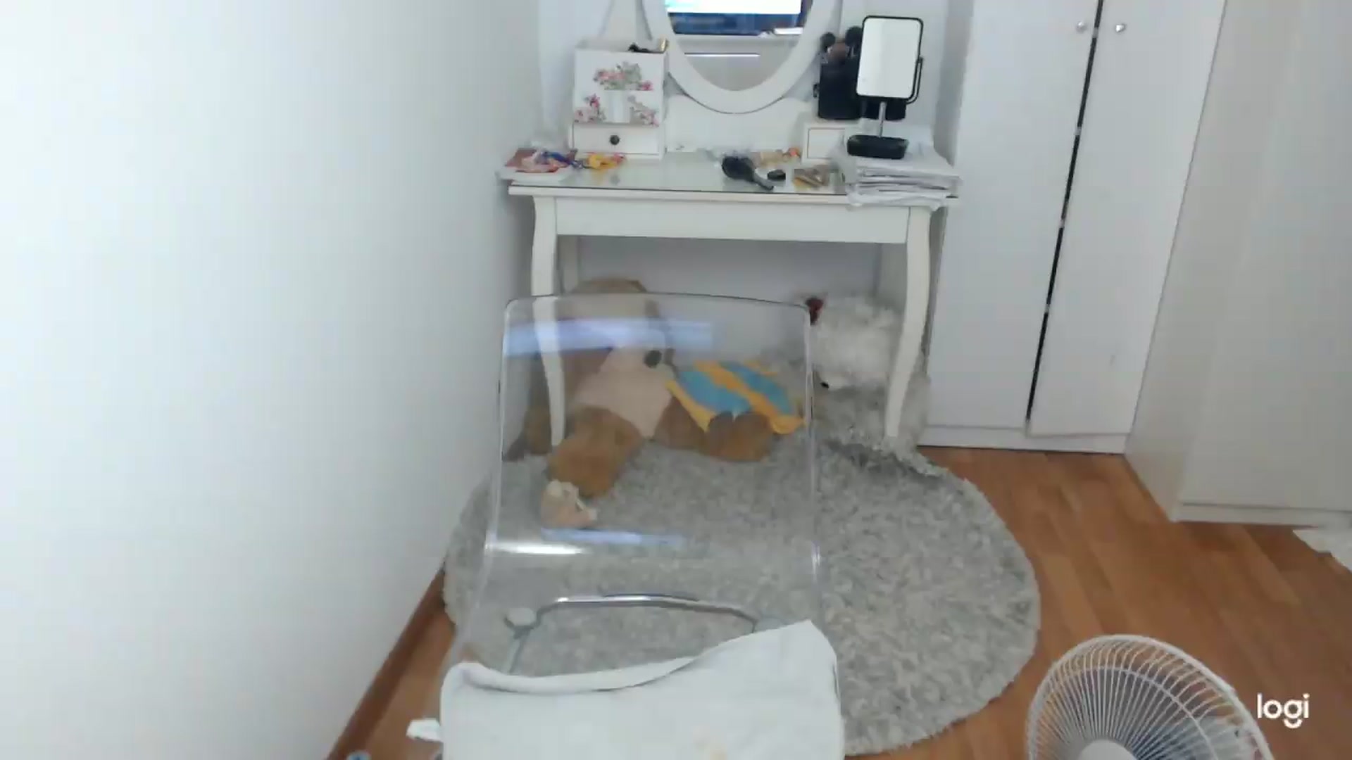 Gallery image thumbnail from SummerJewel's myfreecams stream on, 07/19/2026, 08:43 image 7 of 20