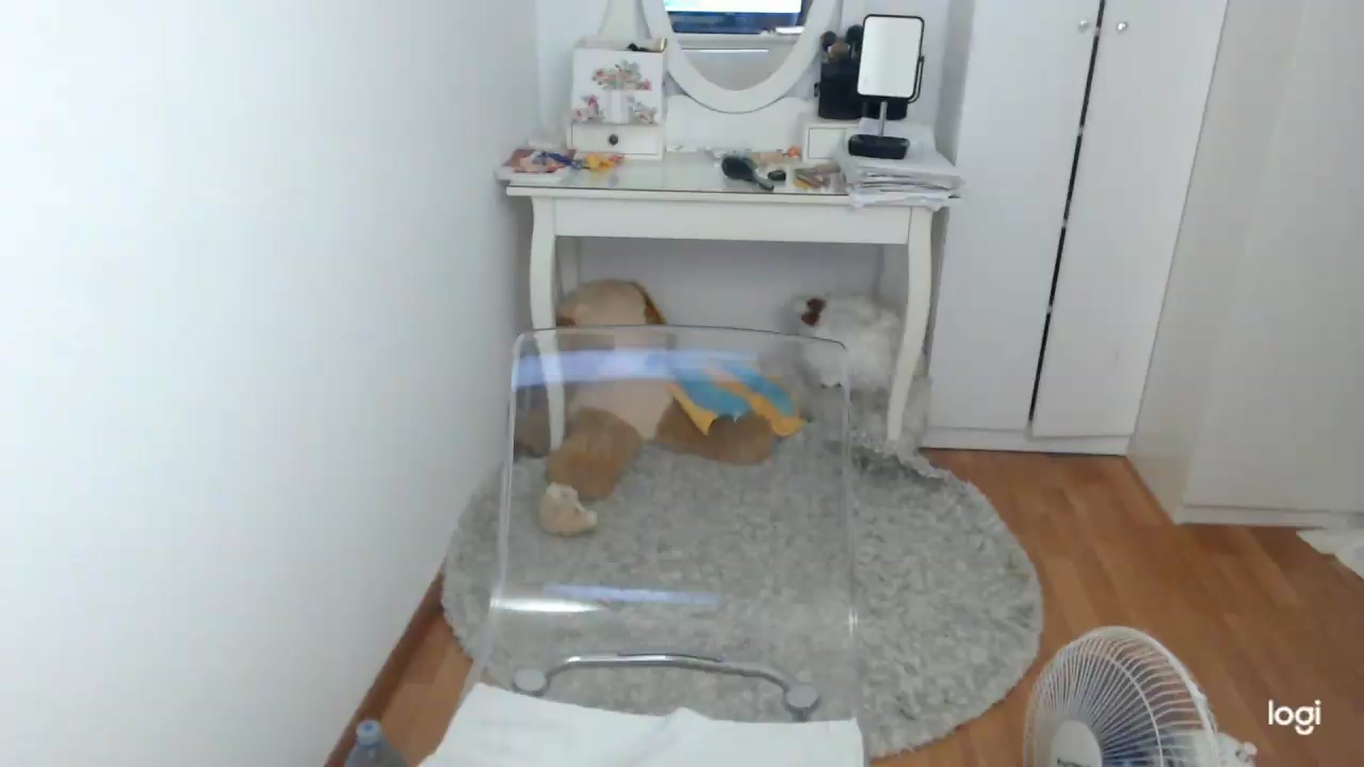 Gallery image thumbnail from SummerJewel's myfreecams stream on, 07/19/2026, 08:43 image 4 of 20