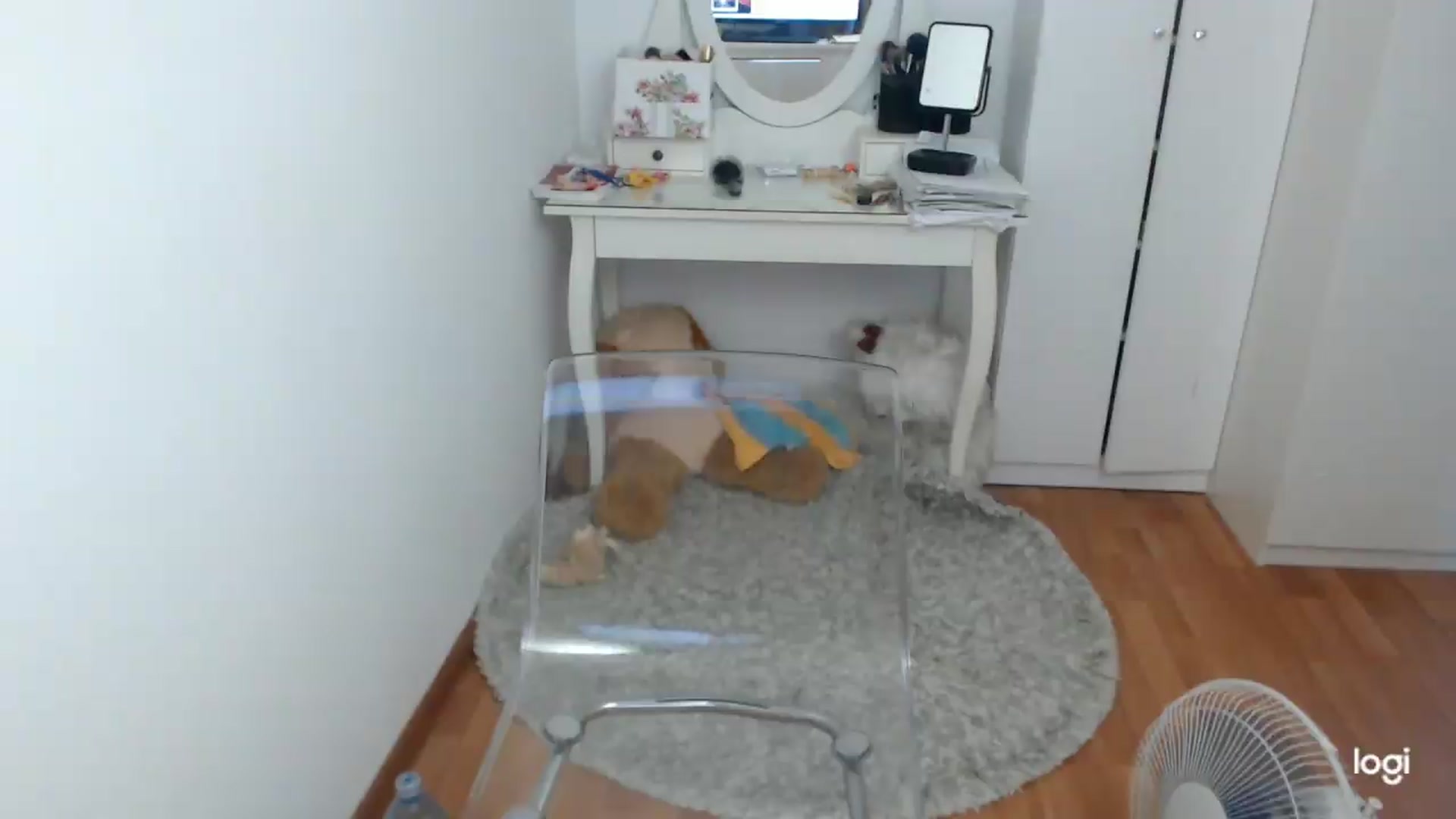Gallery image thumbnail from SummerJewel's myfreecams stream on, 07/20/2026, 07:42 image 12 of 20