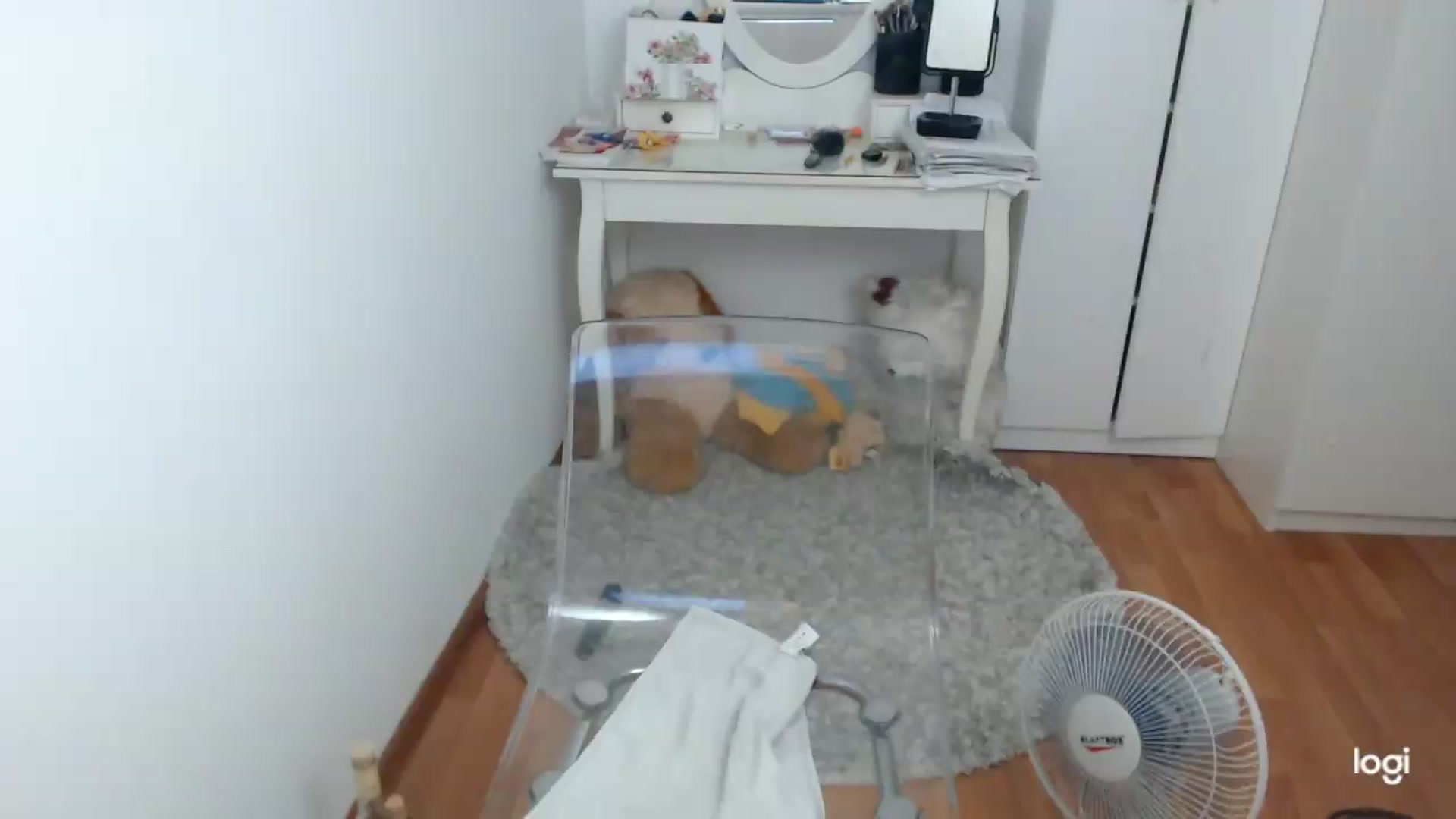 Gallery image thumbnail from SummerJewel's myfreecams stream on, 07/23/2026, 09:22 image 15 of 20