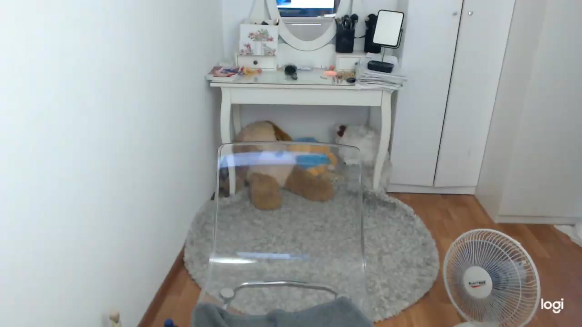 Gallery image thumbnail from SummerJewel's myfreecams stream on, 08/04/2026, 08:01 image 8 of 20