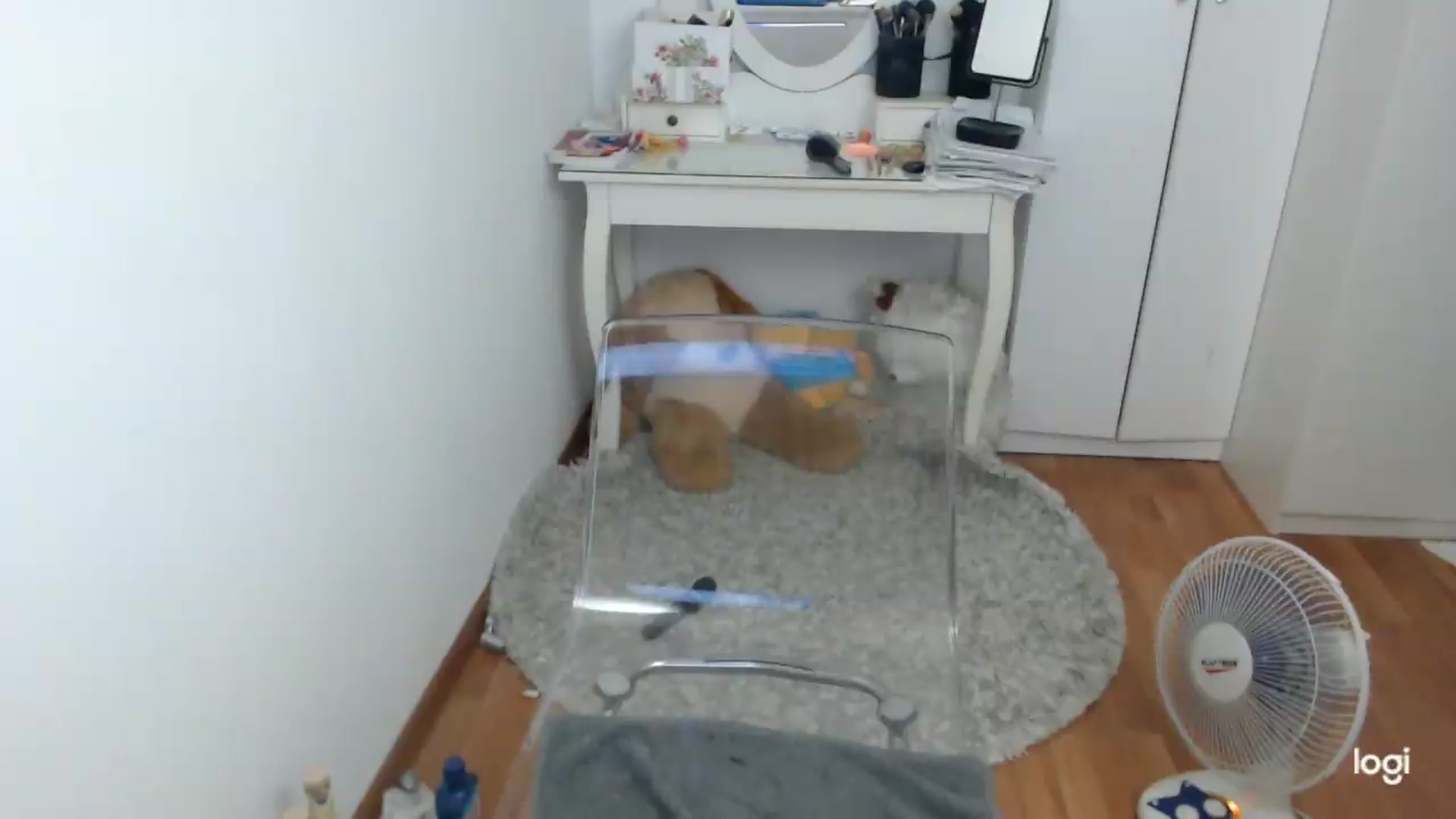Gallery image thumbnail from SummerJewel's myfreecams stream on, 08/04/2026, 08:40 image 6 of 20