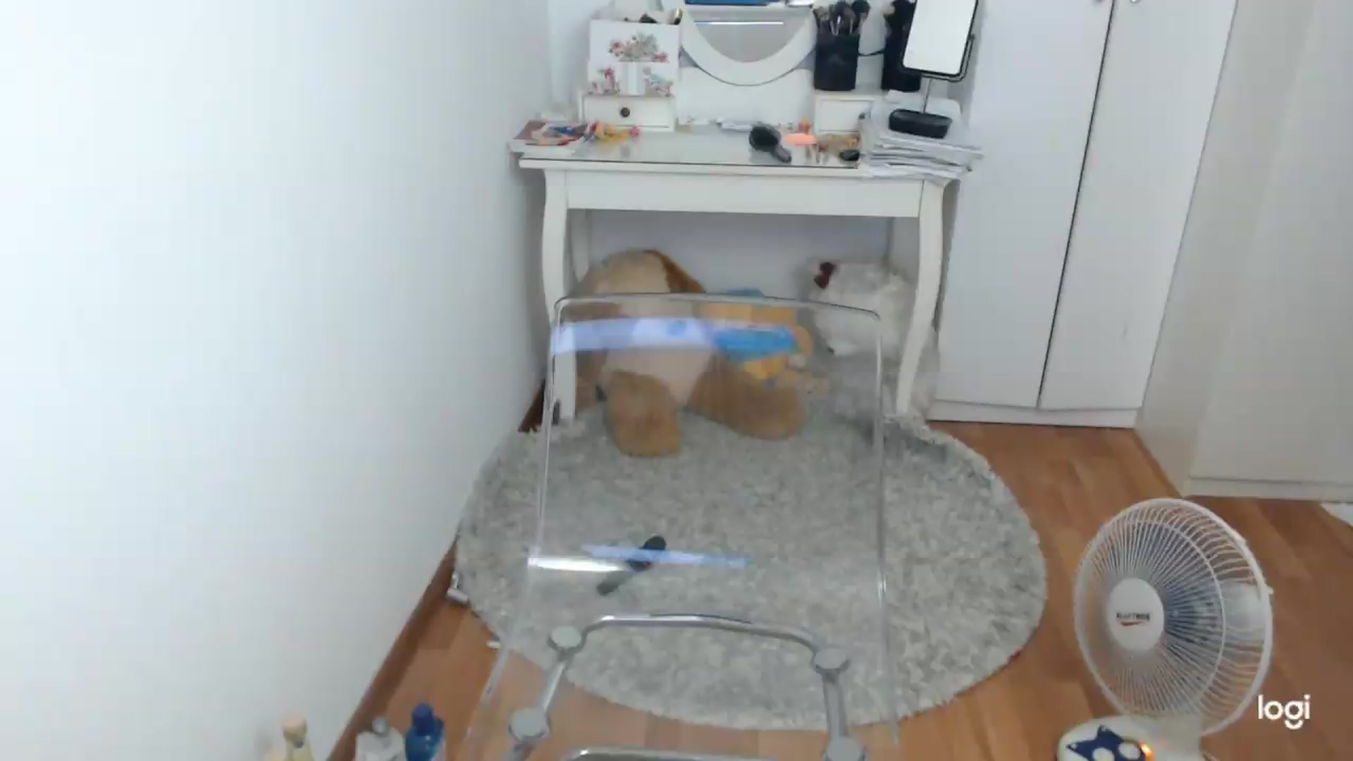 Gallery image thumbnail from SummerJewel's myfreecams stream on, 08/04/2026, 08:40 image 3 of 20