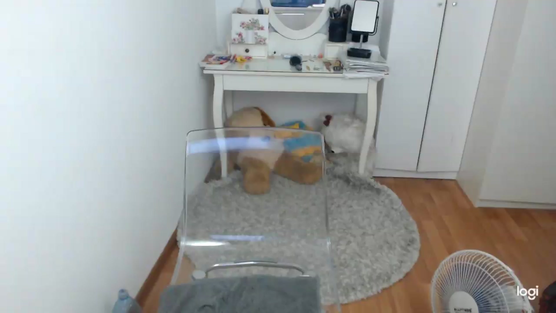 Gallery image thumbnail from SummerJewel's myfreecams stream on, 08/07/2026, 09:11 image 12 of 20