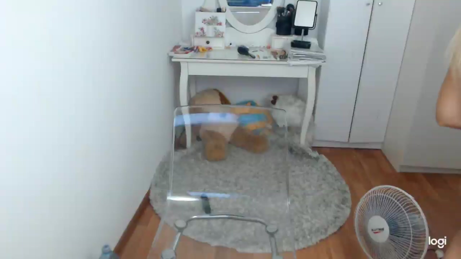 Gallery image thumbnail from SummerJewel's myfreecams stream on, 08/07/2026, 09:11 image 15 of 20