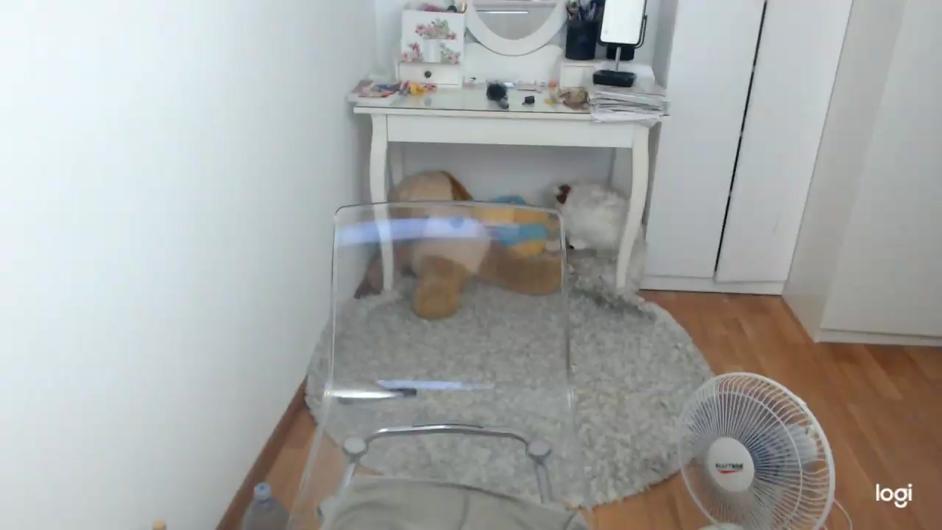 Gallery image thumbnail from SummerJewel's myfreecams stream on, 08/08/2026, 09:14 image 9 of 20