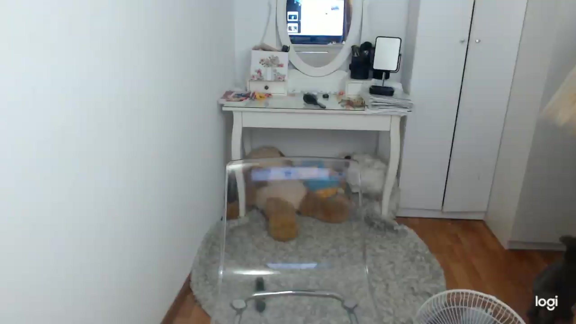 Gallery image thumbnail from SummerJewel's myfreecams stream on, 08/10/2026, 08:51 image 17 of 20