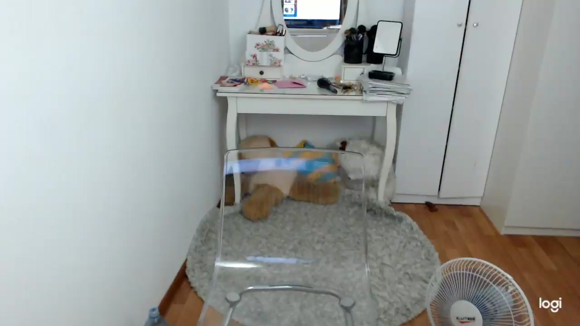 Gallery image thumbnail from SummerJewel's myfreecams stream on, 08/13/2026, 08:17 image 17 of 20