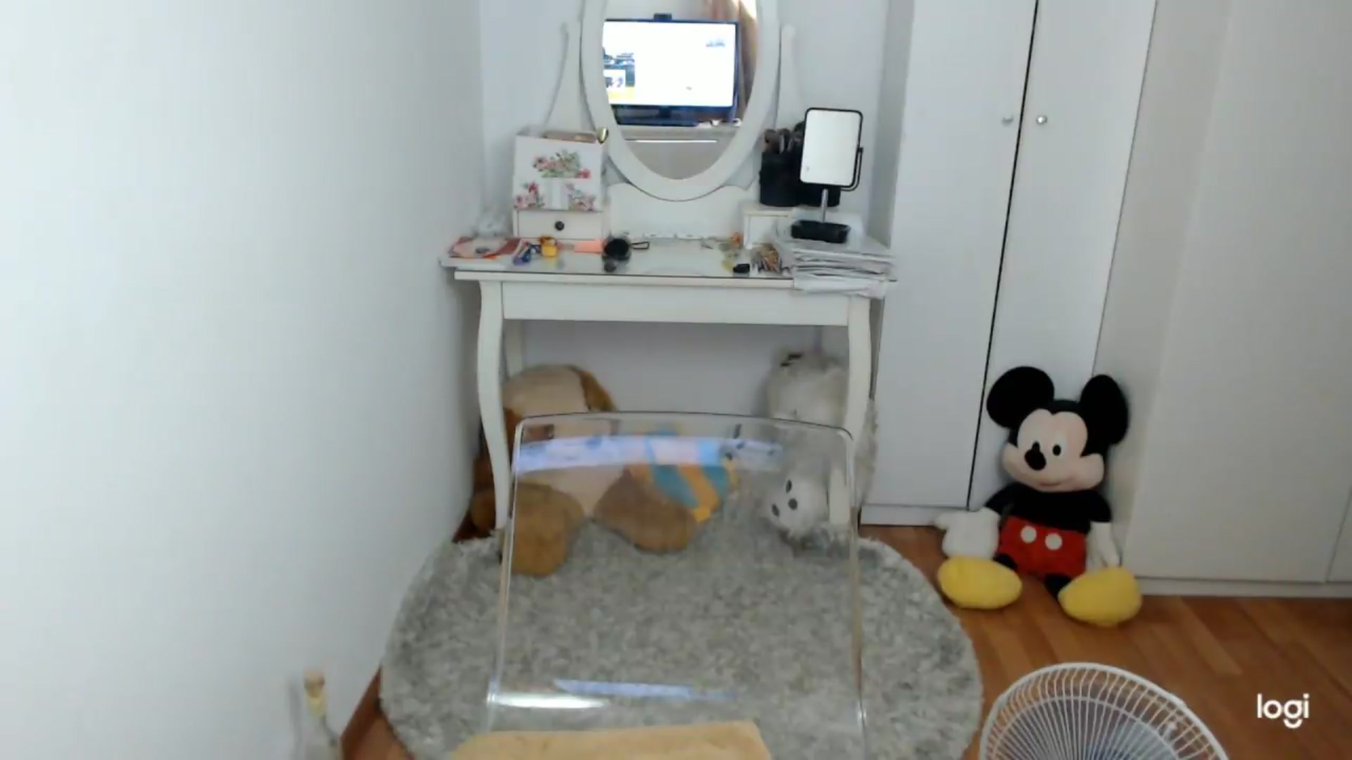 Gallery image thumbnail from SummerJewel's myfreecams stream on, 08/26/2026, 08:38 image 17 of 20