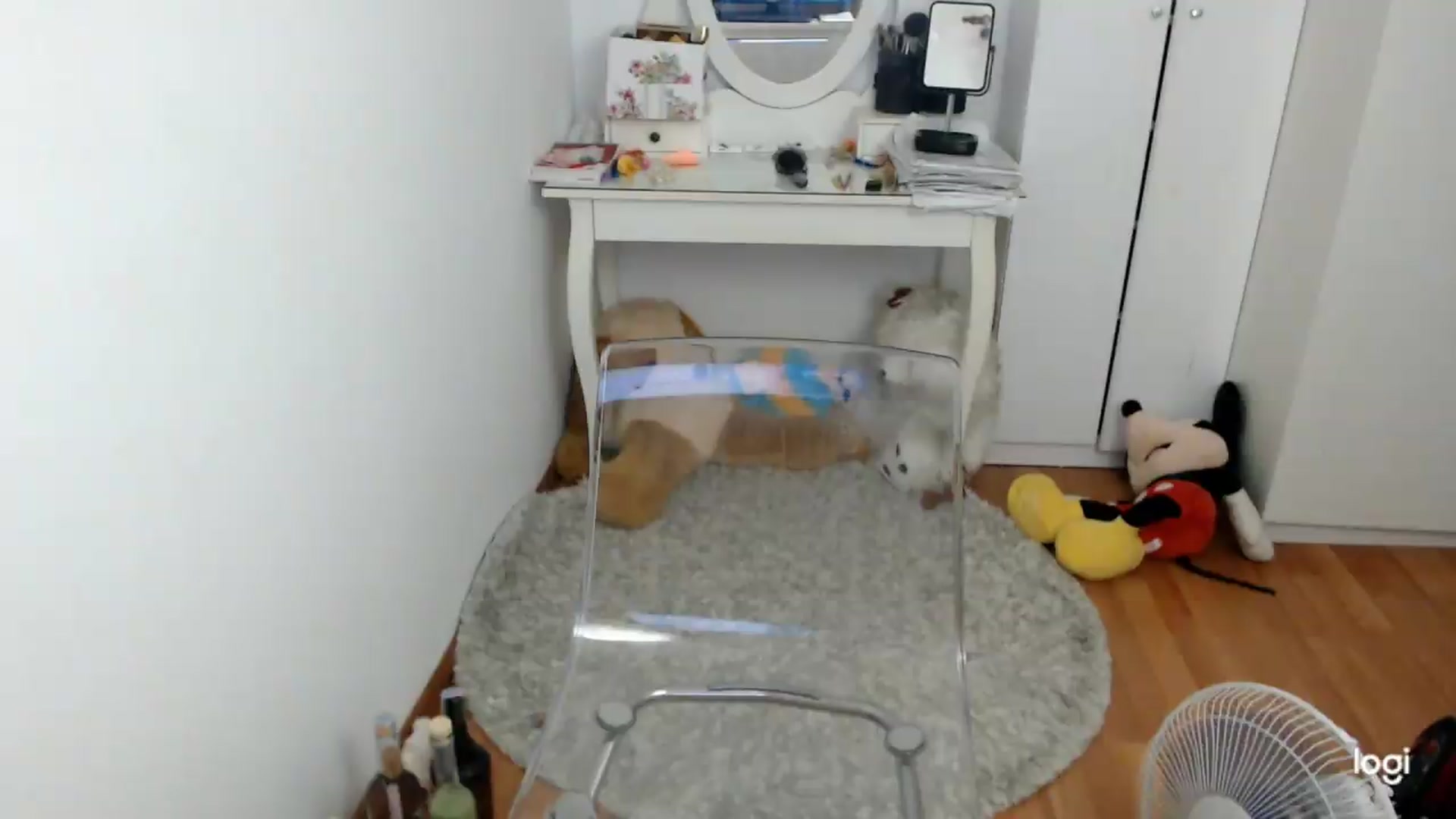 Gallery image thumbnail from SummerJewel's myfreecams stream on, 09/01/2026, 07:30 image 10 of 20