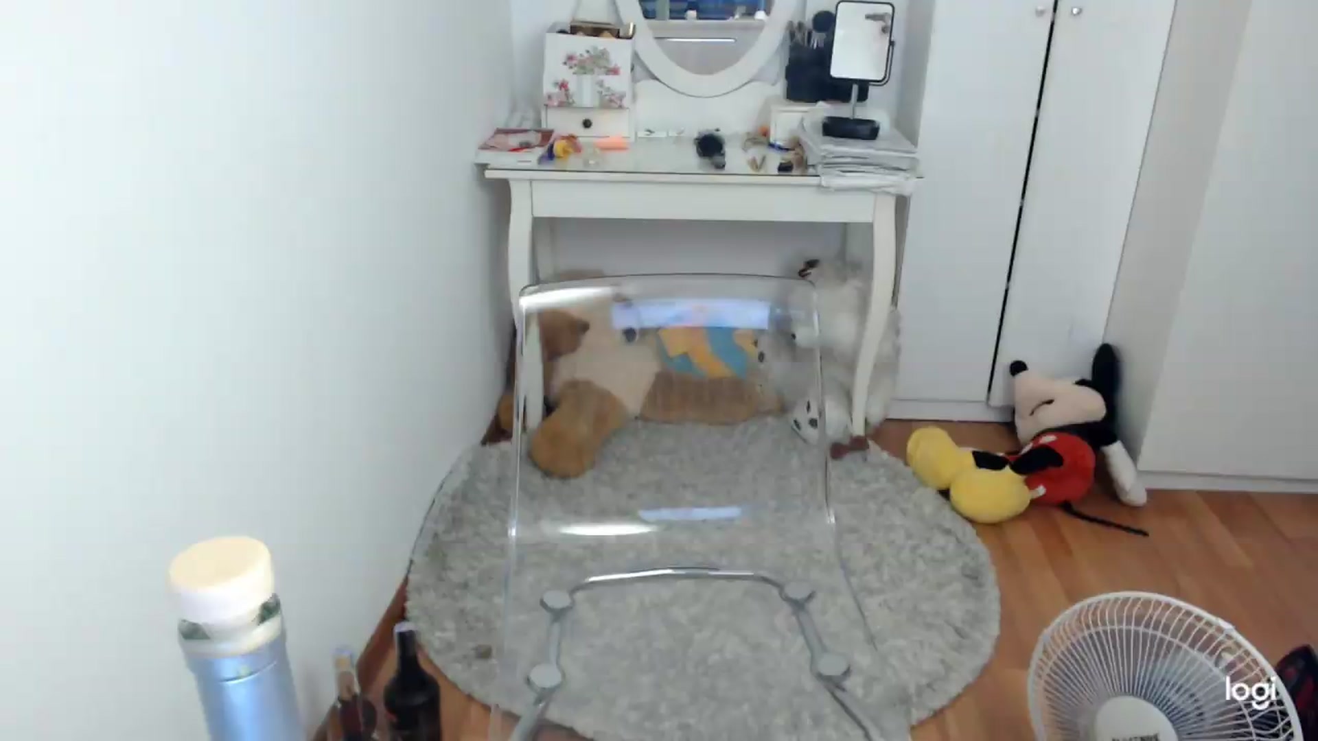 Gallery image thumbnail from SummerJewel's myfreecams stream on, 09/01/2026, 07:30 image 3 of 20