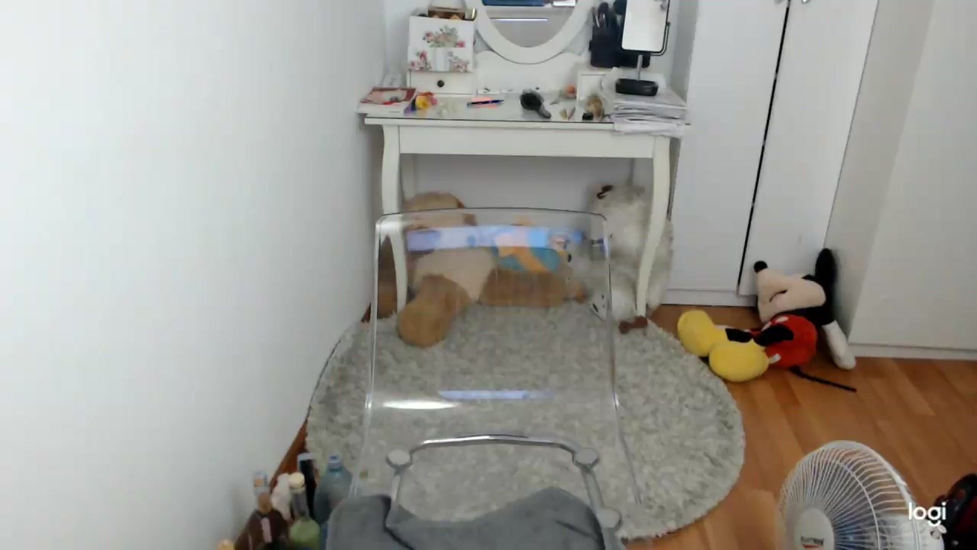 Gallery image thumbnail from SummerJewel's myfreecams stream on, 09/01/2026, 09:01 image 11 of 20