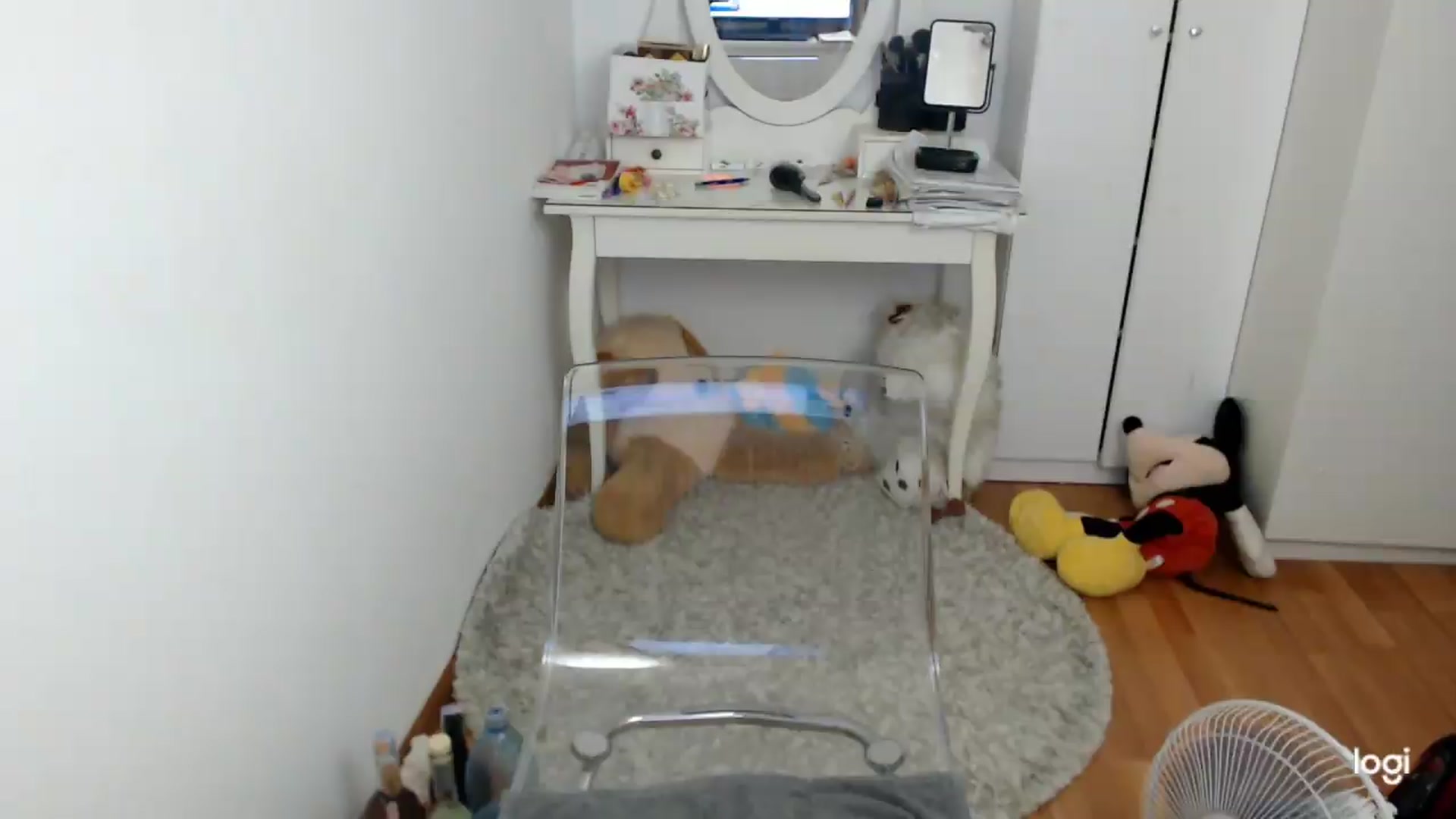 Gallery image thumbnail from SummerJewel's myfreecams stream on, 09/01/2026, 09:01 image 4 of 20