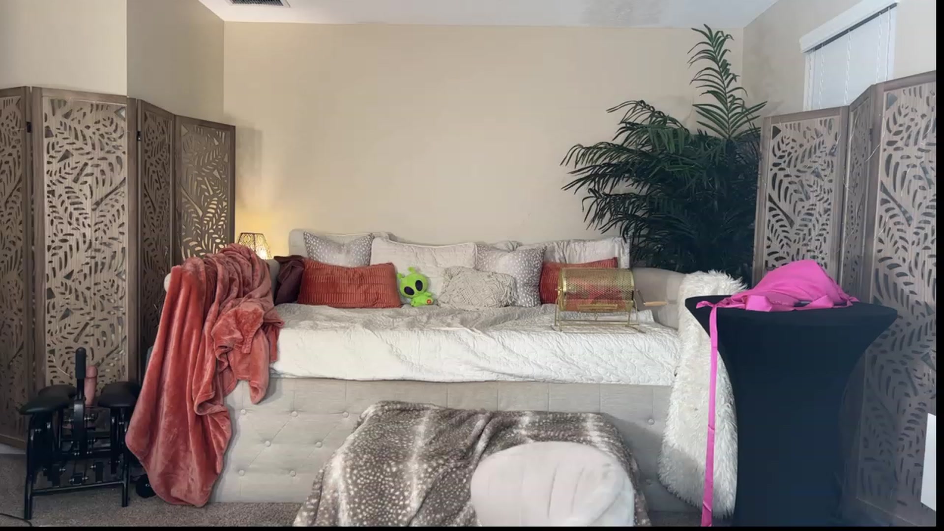 Gallery image thumbnail from Summer_Ari's myfreecams stream on, 08/25/2023, 04:39 image 18 of 20